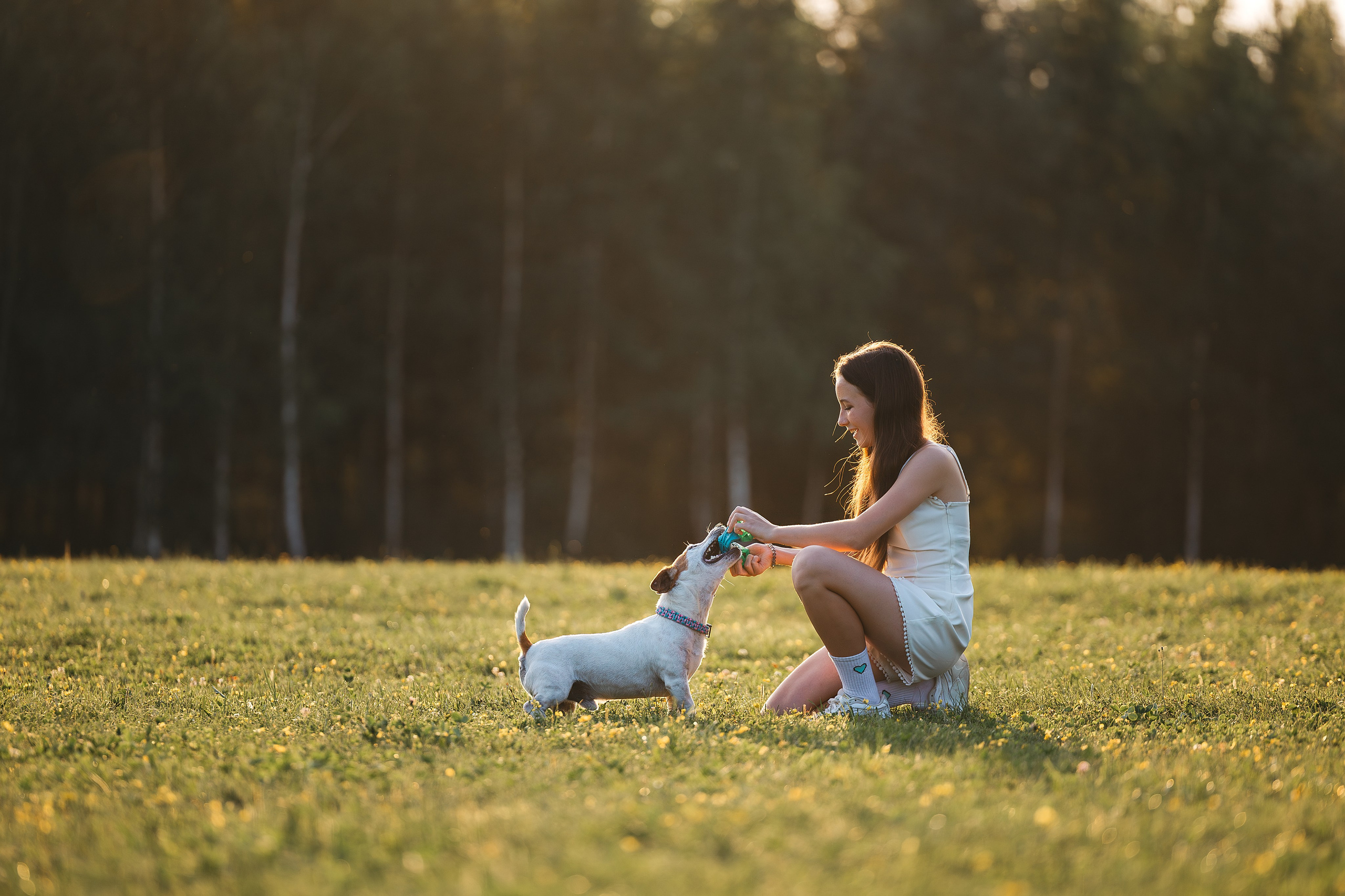 Юлиана и Риф (в обработке). Фотограф Анималист в Москве Анастасия Жучкова
