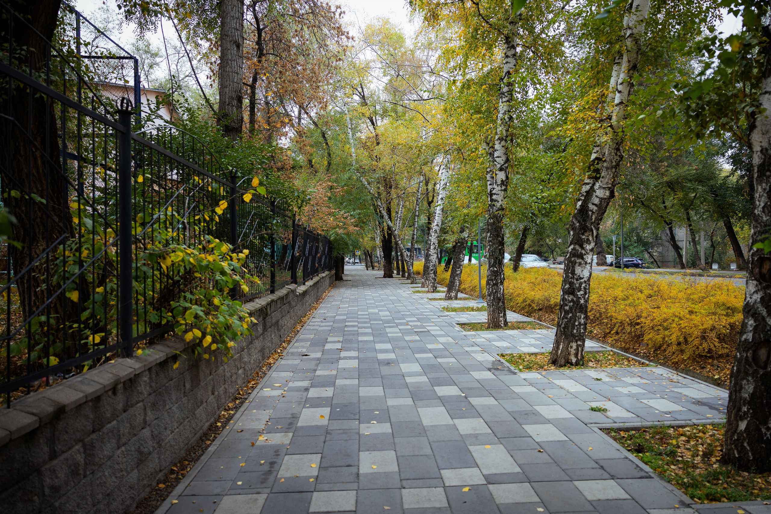 Казахстан (осень 2024). Фотограф Виноградов Константин