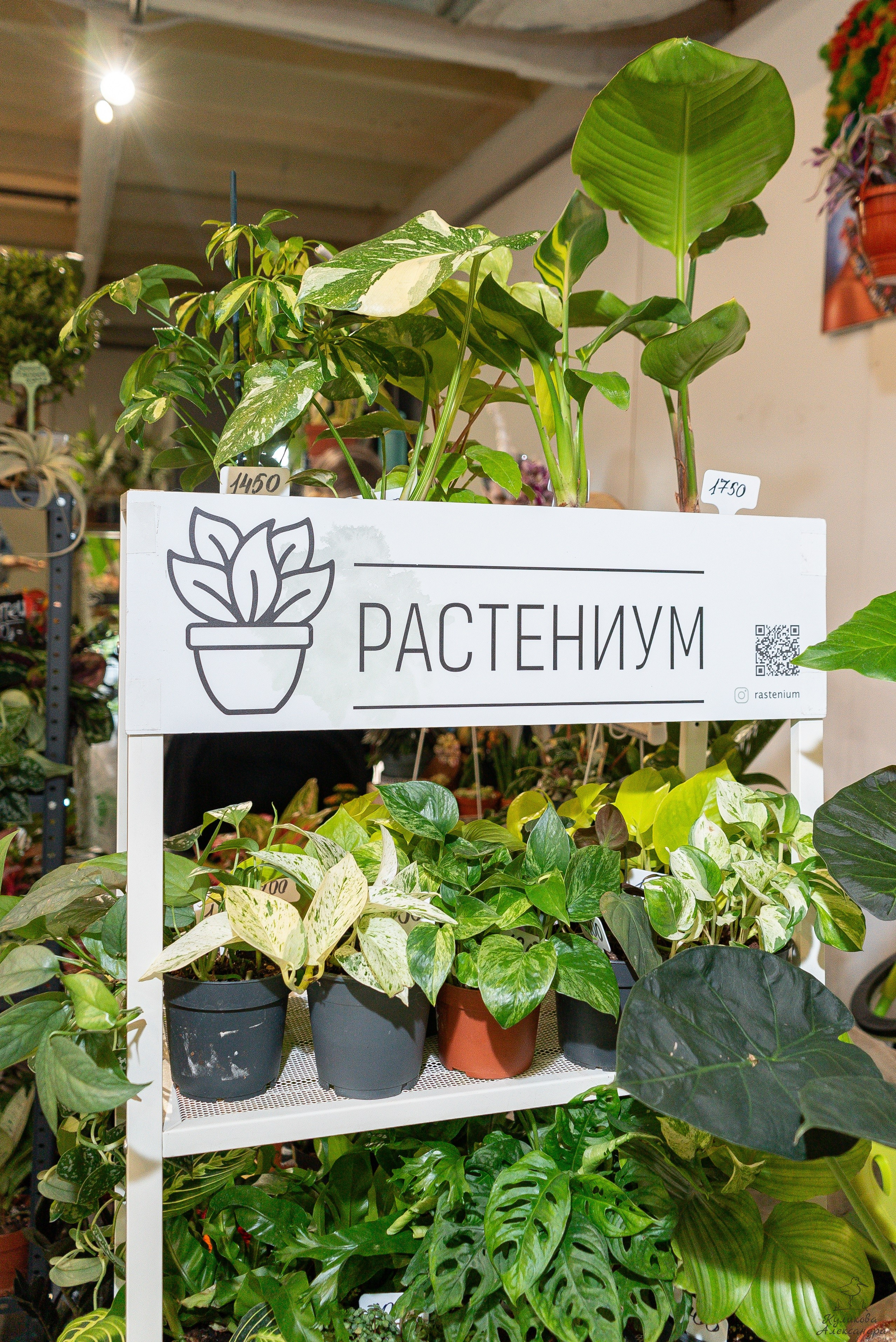 Гроубокс Артплей апрель. Александра Куликова фотограф, Москва