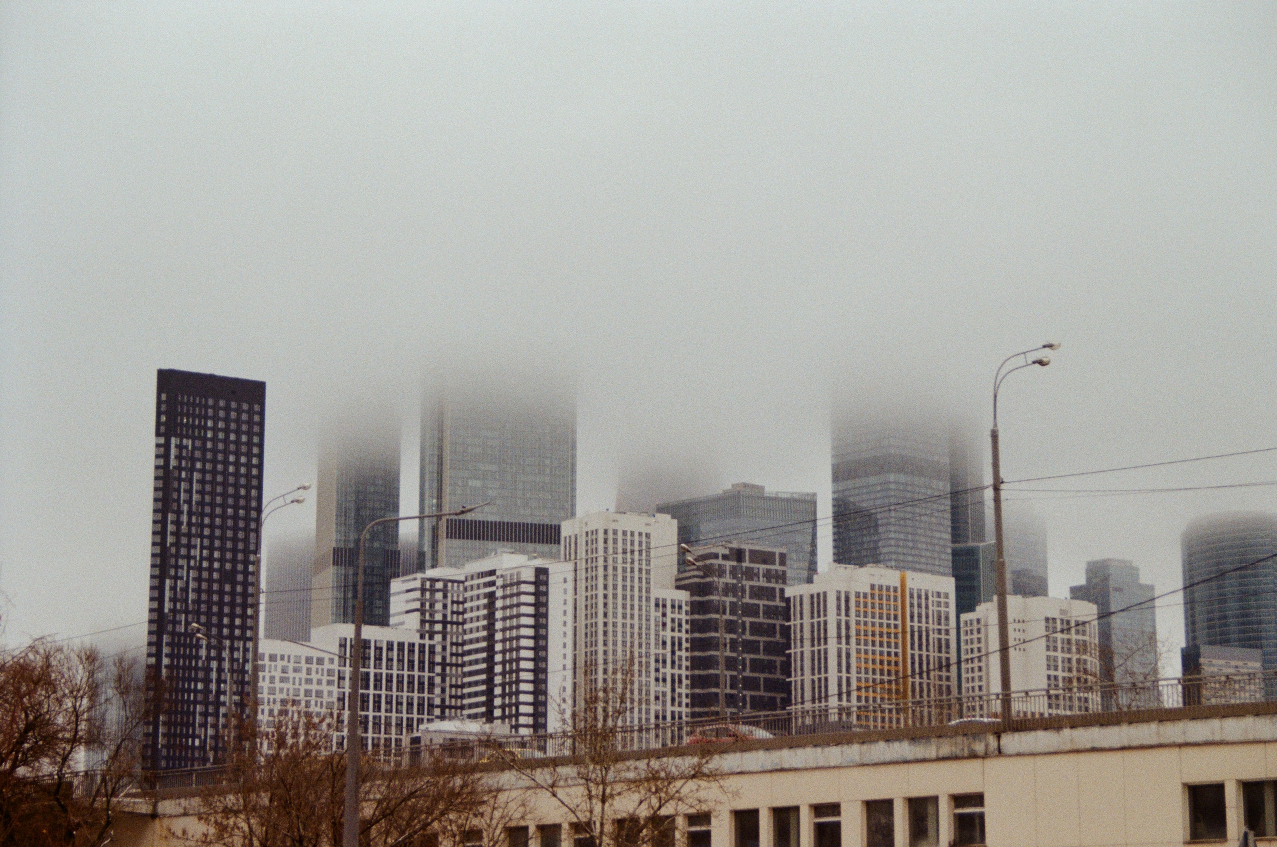 Пленка. Главная