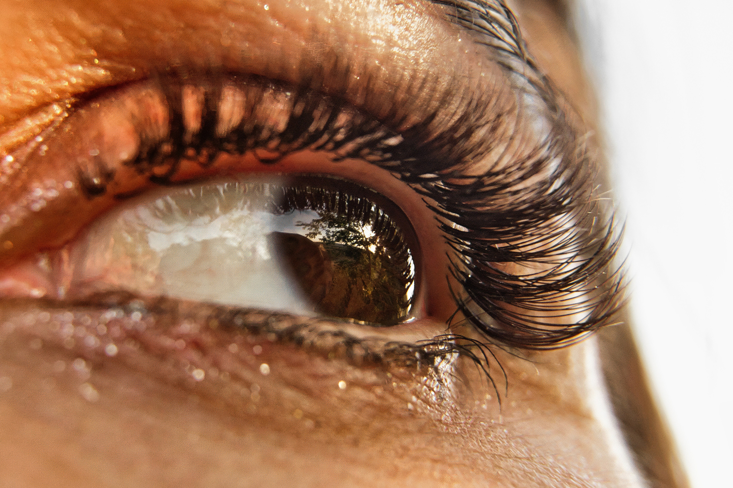 Закат. Фотограф Денис Кривопусков