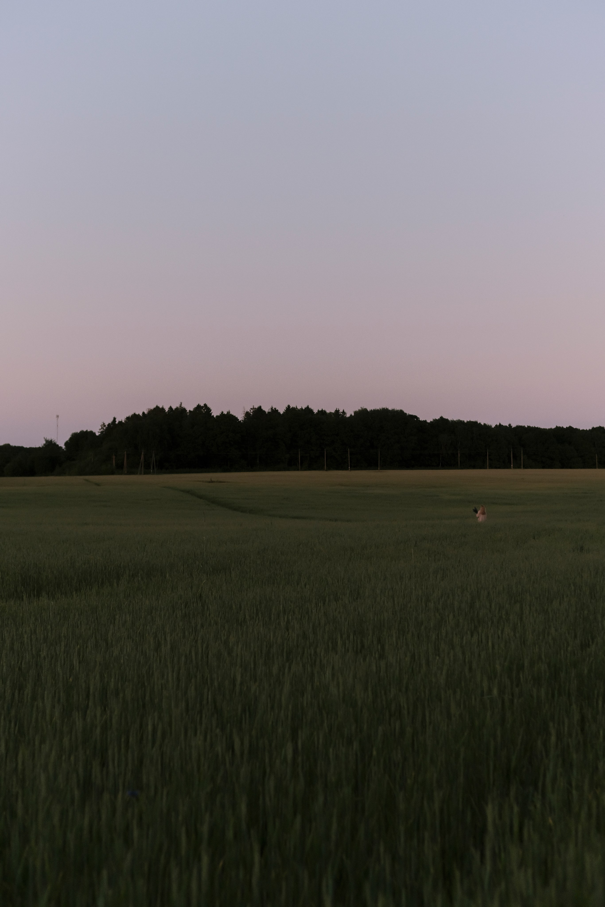 Мария. Фотограф, видеограф в Санкт-Петербурге