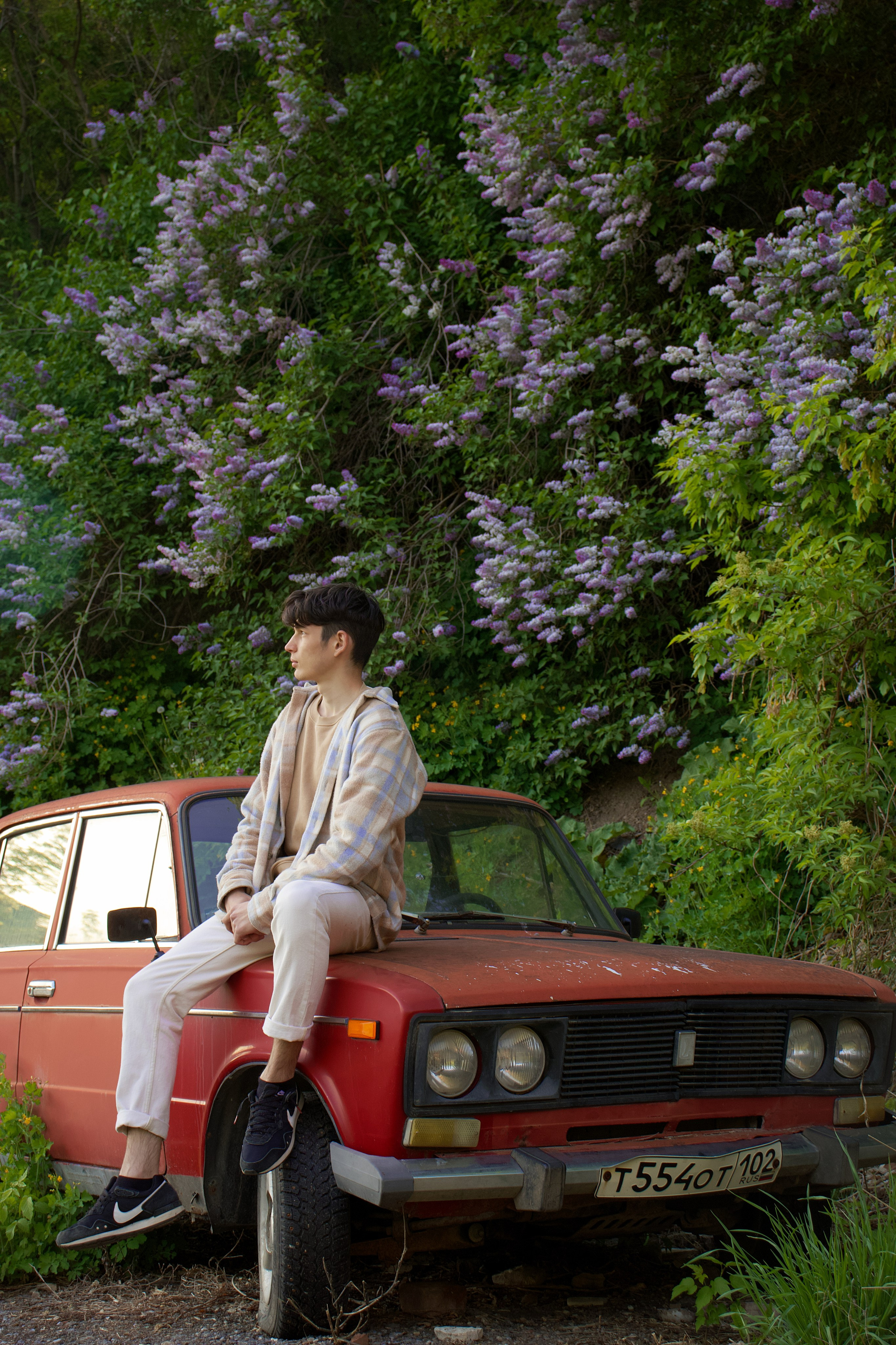 Ранис Сирень. Pupov.png