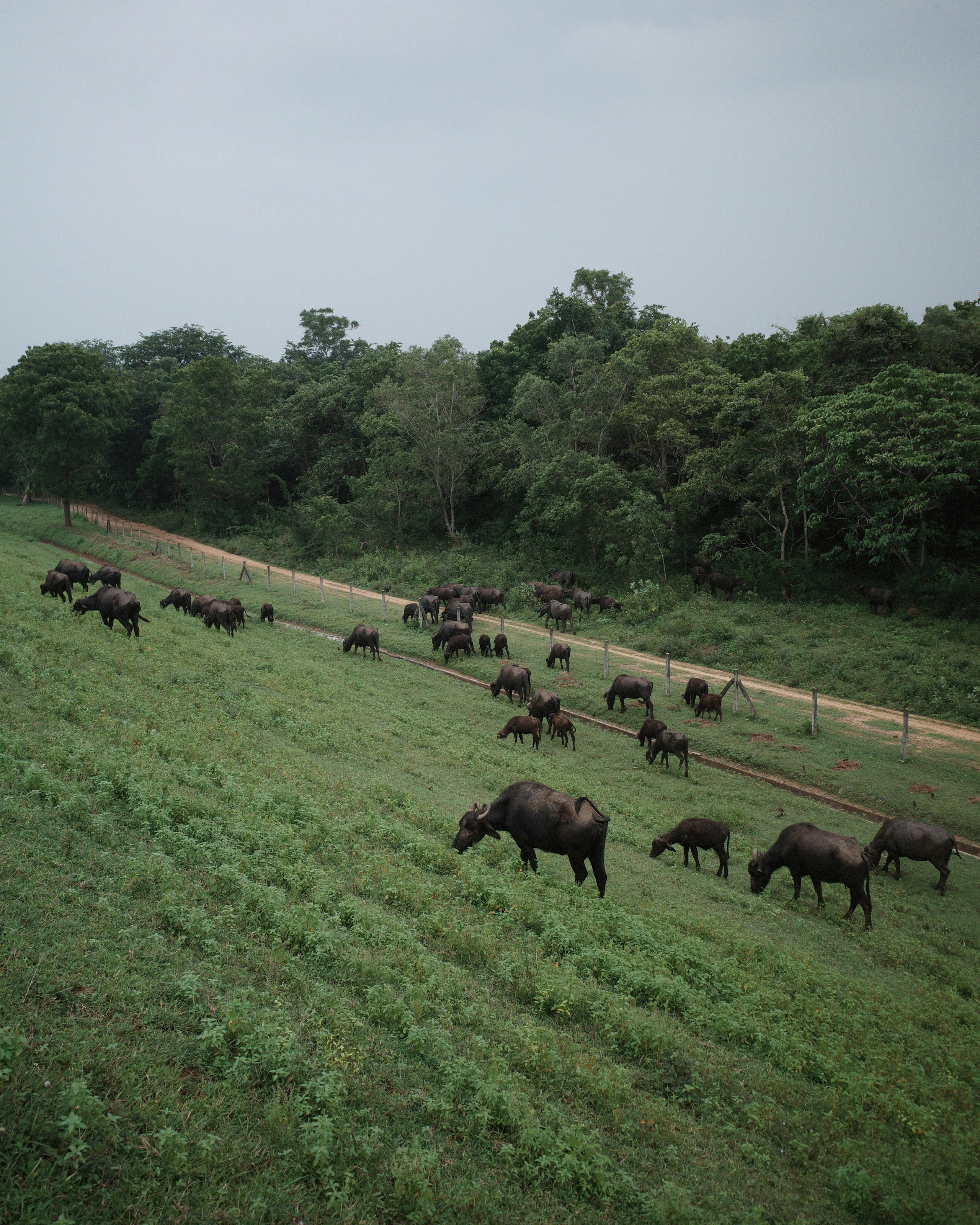 Street. Фотограф Санкт-Петербург / Москва