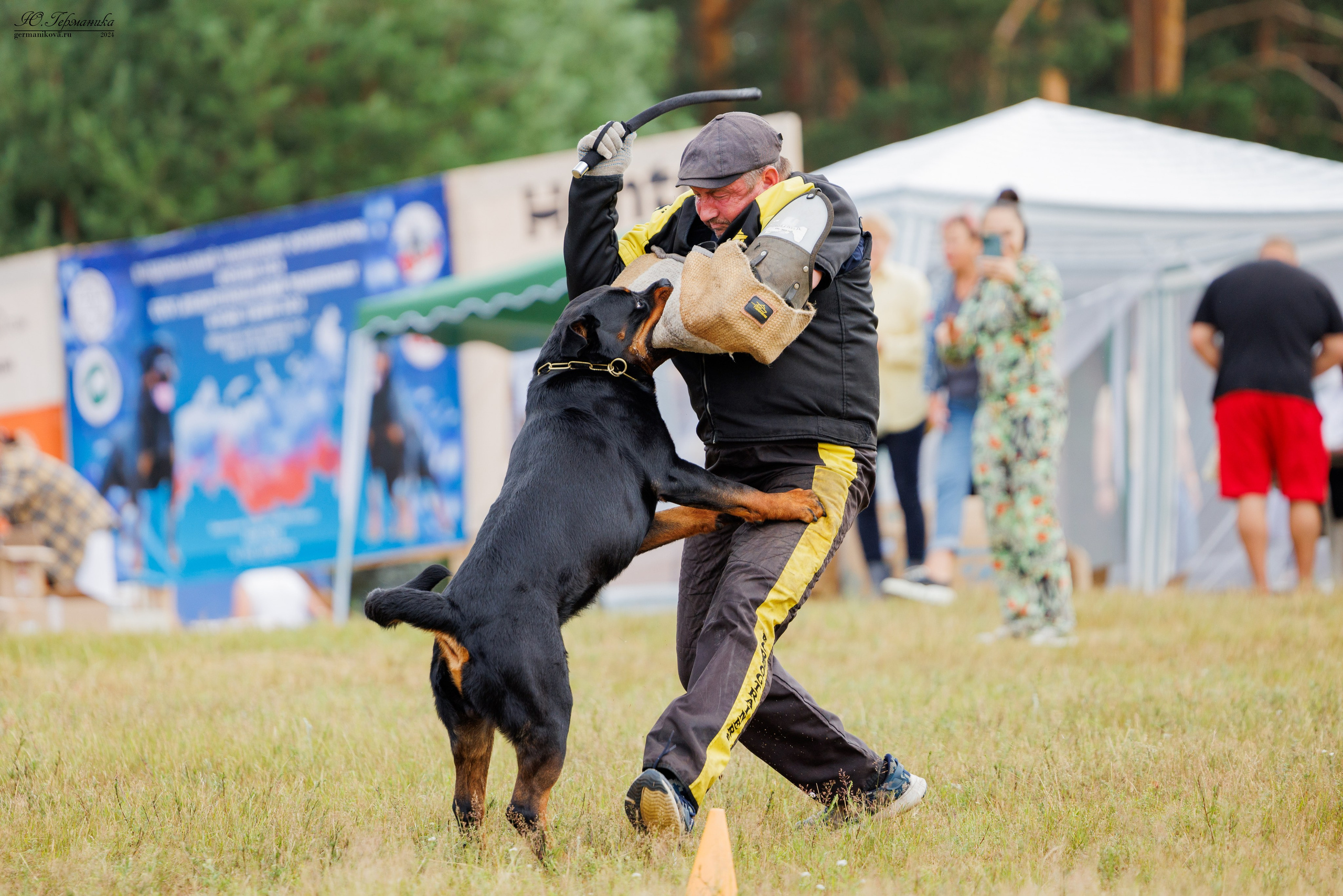 ПК и КЧК ротвейлеры Тверь 6-7.07.2024. Фотограф-анималист Юлия Германика