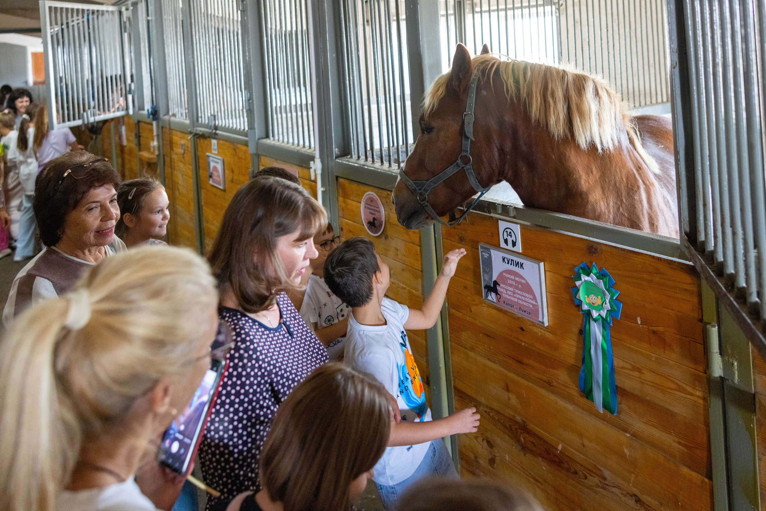Поездка на поле Кулеково. Фотограф в Туле Крупский АнДРей. Фотостудия «КАДР71» в Туле