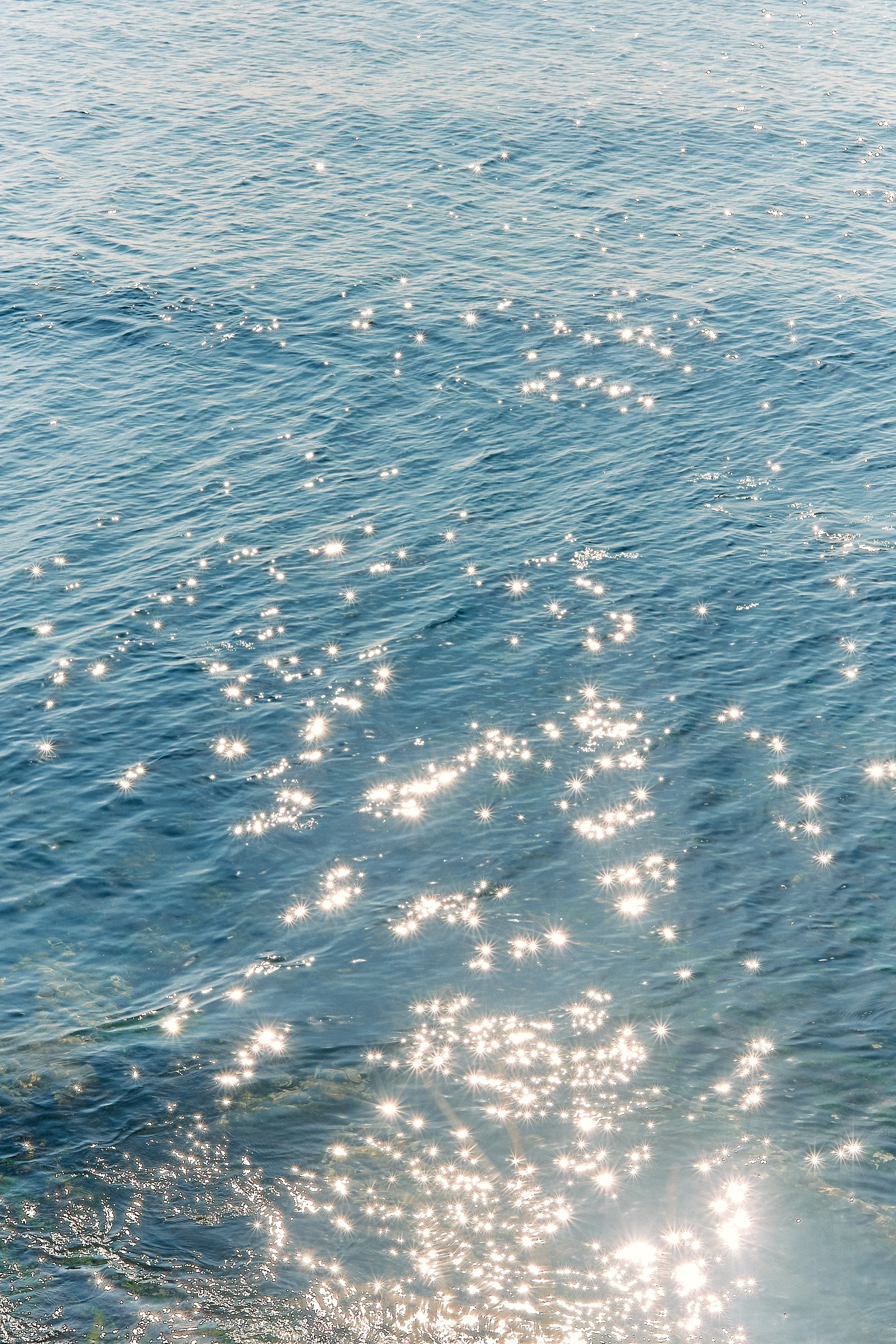 Юг России. Профессиональный Фотограф во Владимире, в Москве и в Суздале — Полина Романычева