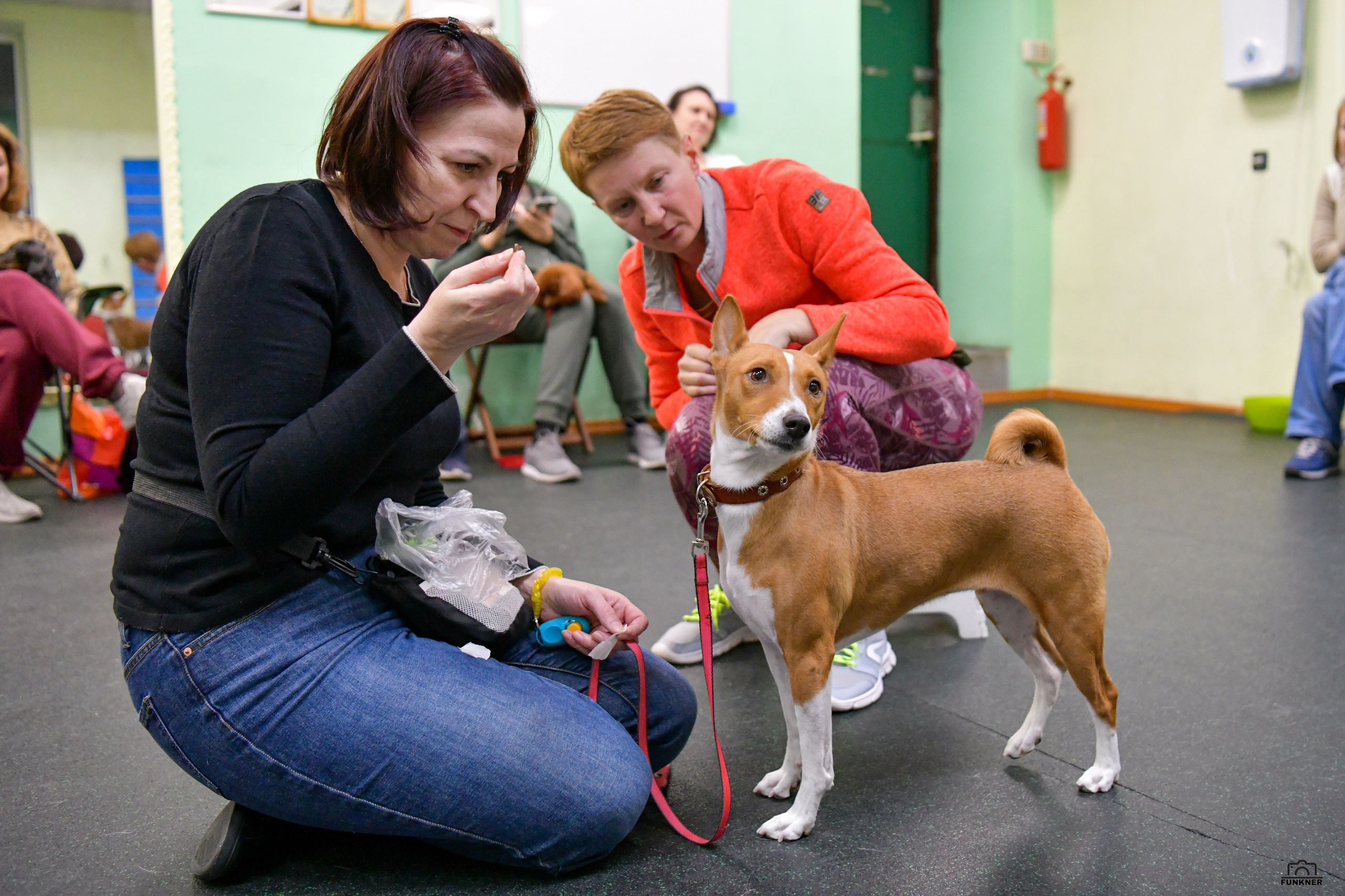 Кинологический клуб «Бодрый хвост». Свой взгляд через объектив