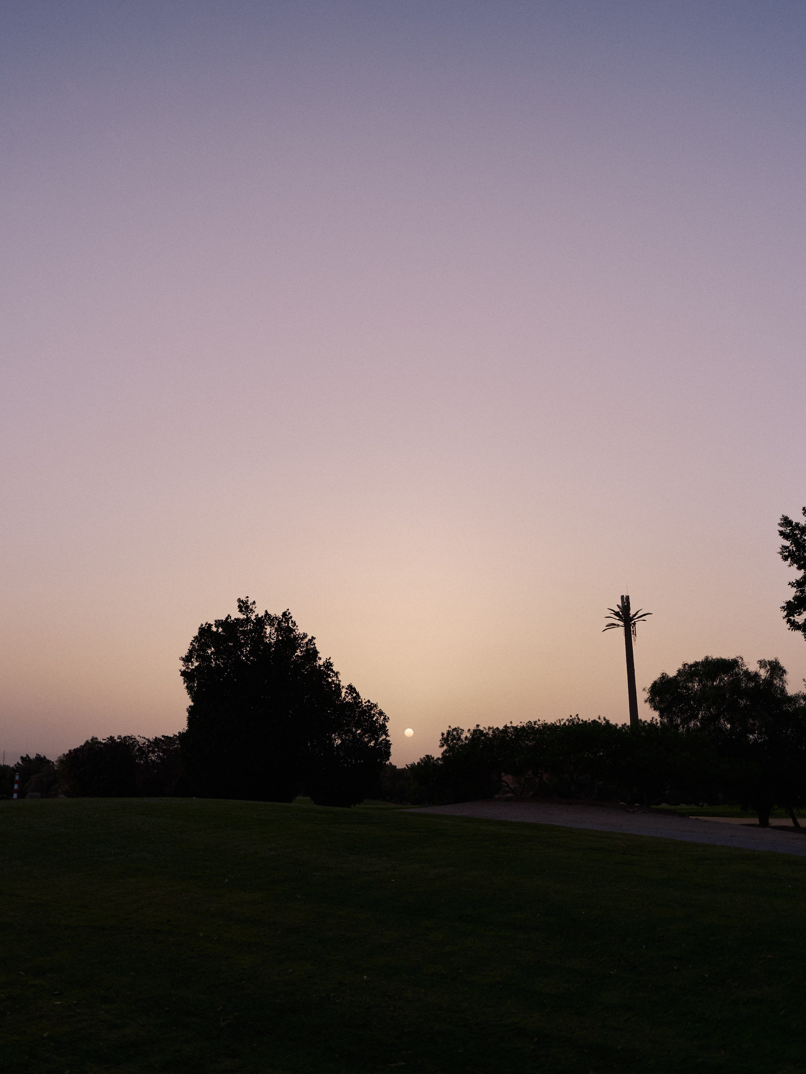 Другое 2. Jorgis Talè — photographer, kind person, teacher of arts and other mag