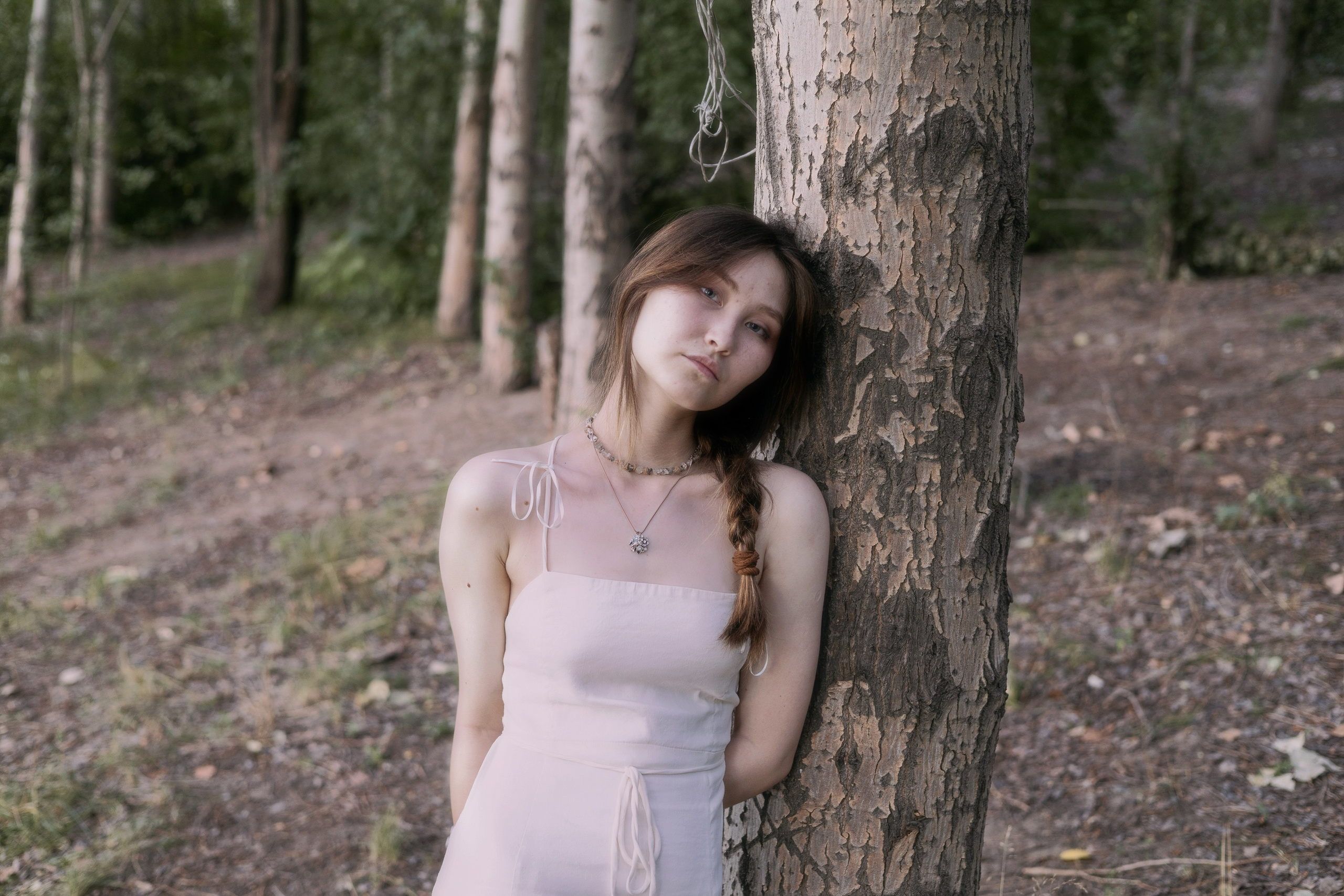 Norwegian wood. Фотограф Бишкек