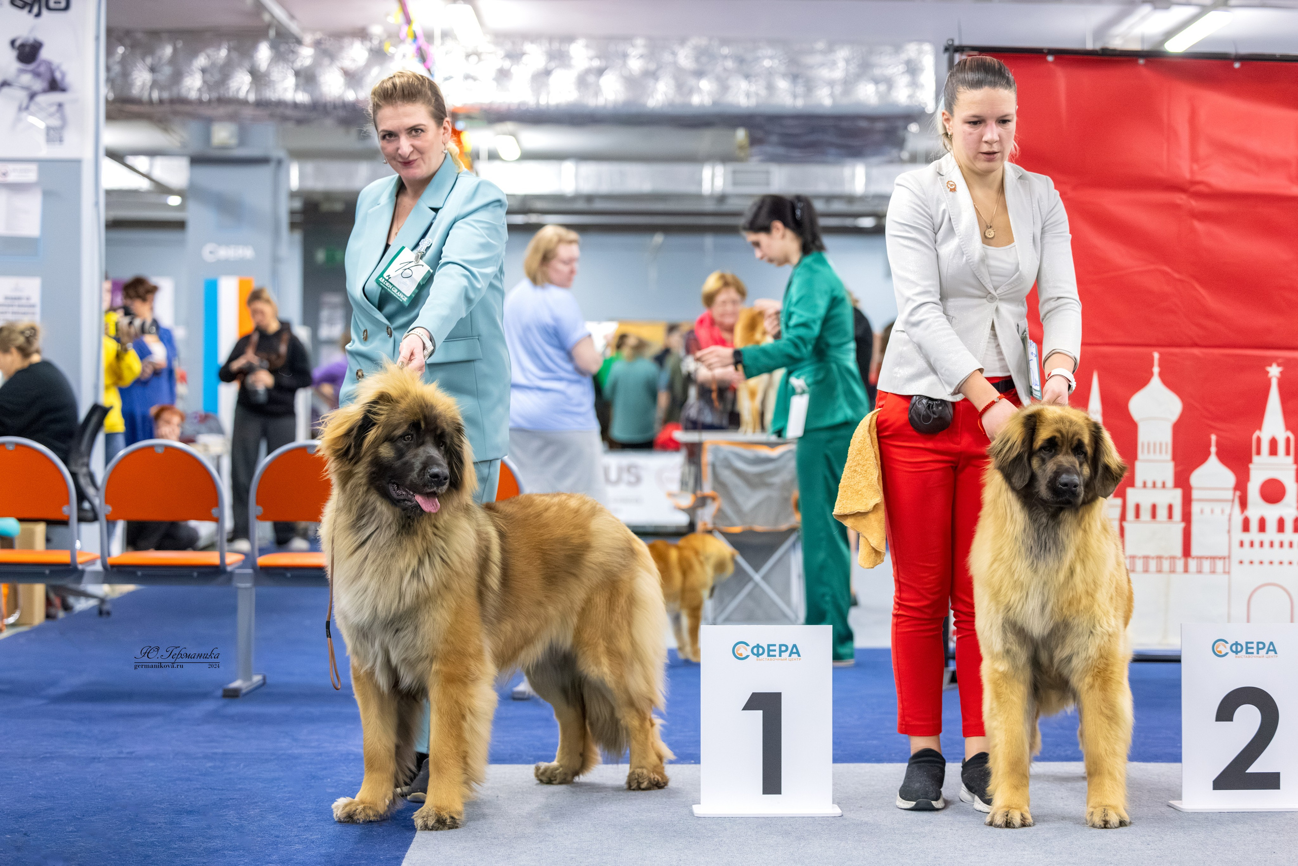 Сфера 17.03.2024. Фотограф-анималист Юлия Германика