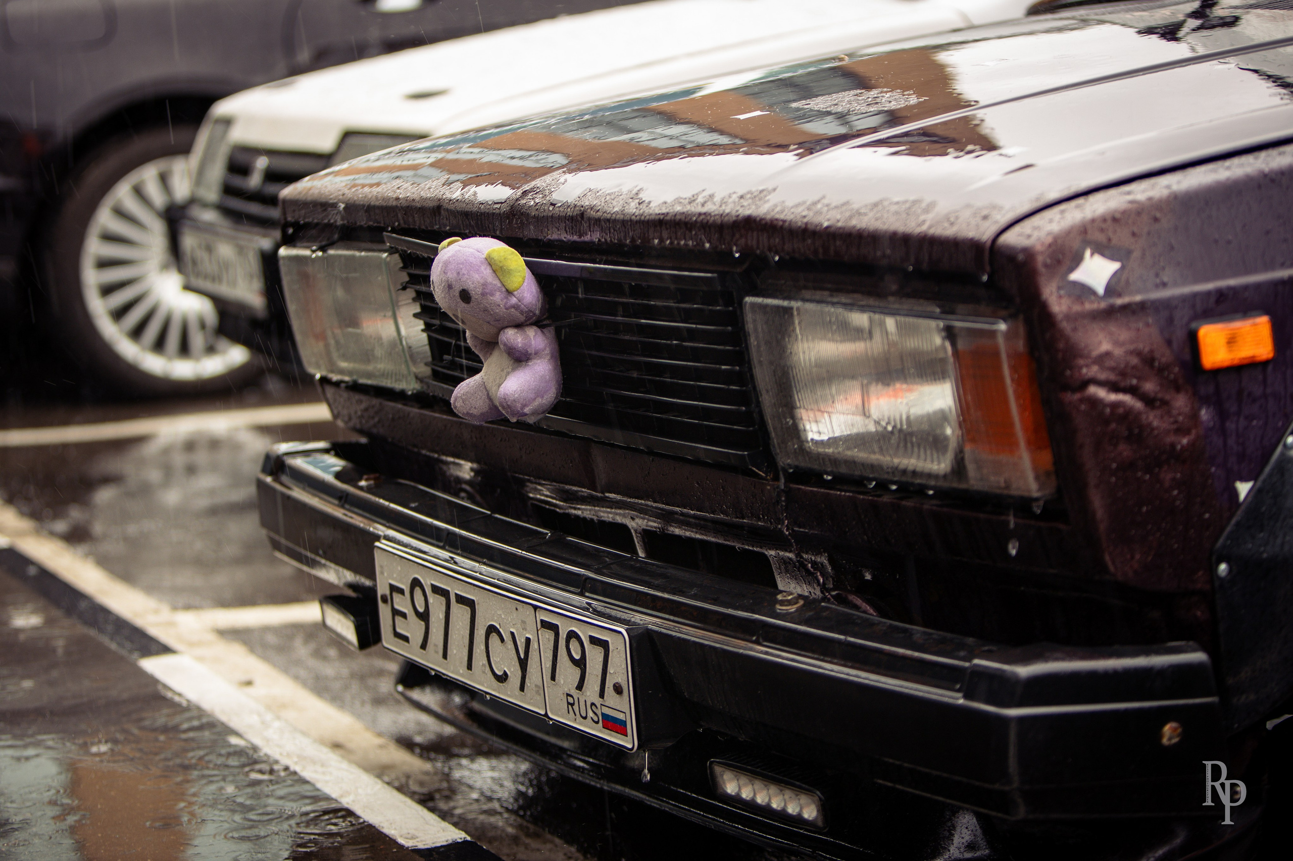 SHOWDOWN. Rusty Photographer