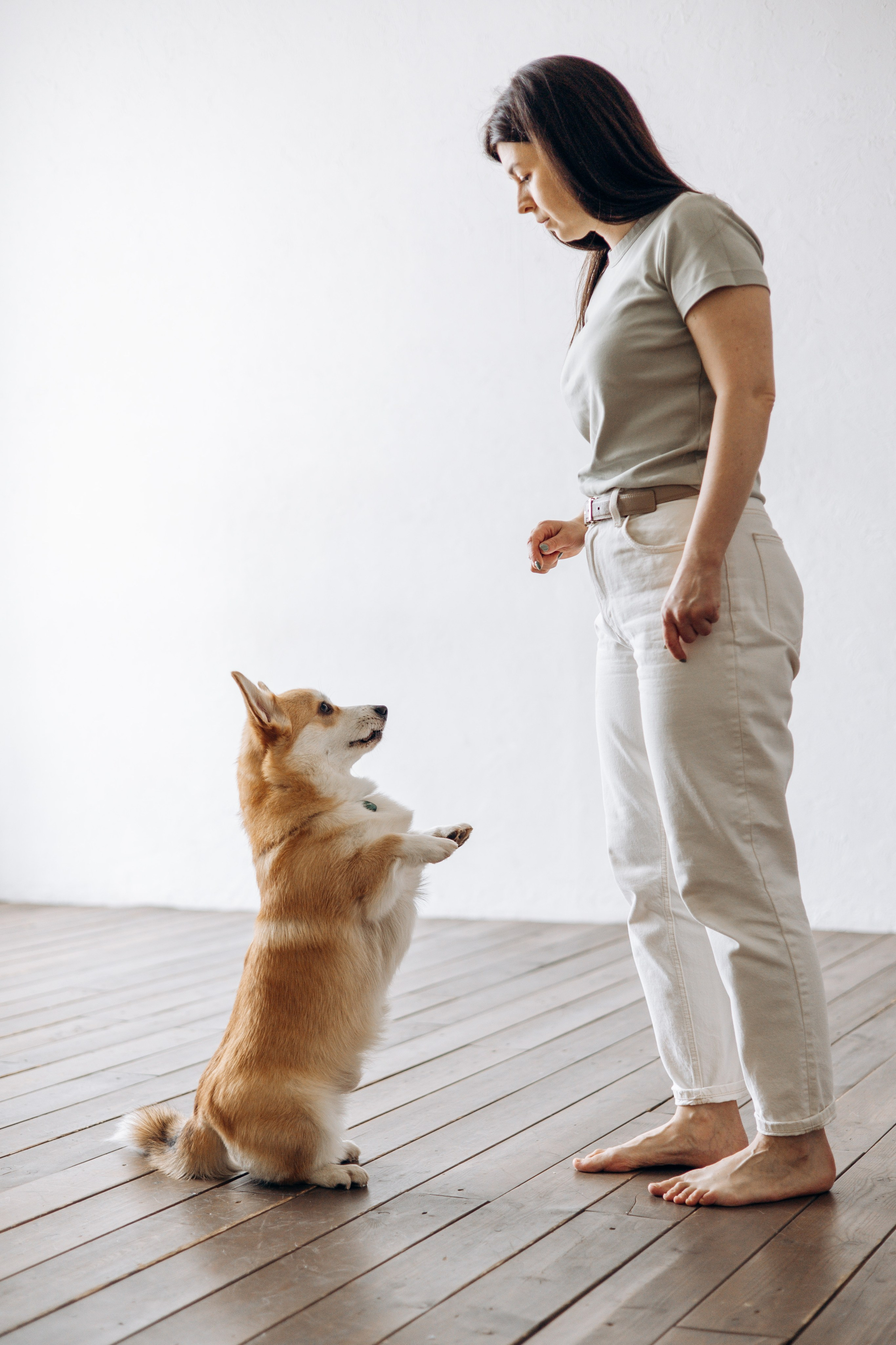 Ричи и его семья. Фотограф — Анималист | Санкт-Петербург
