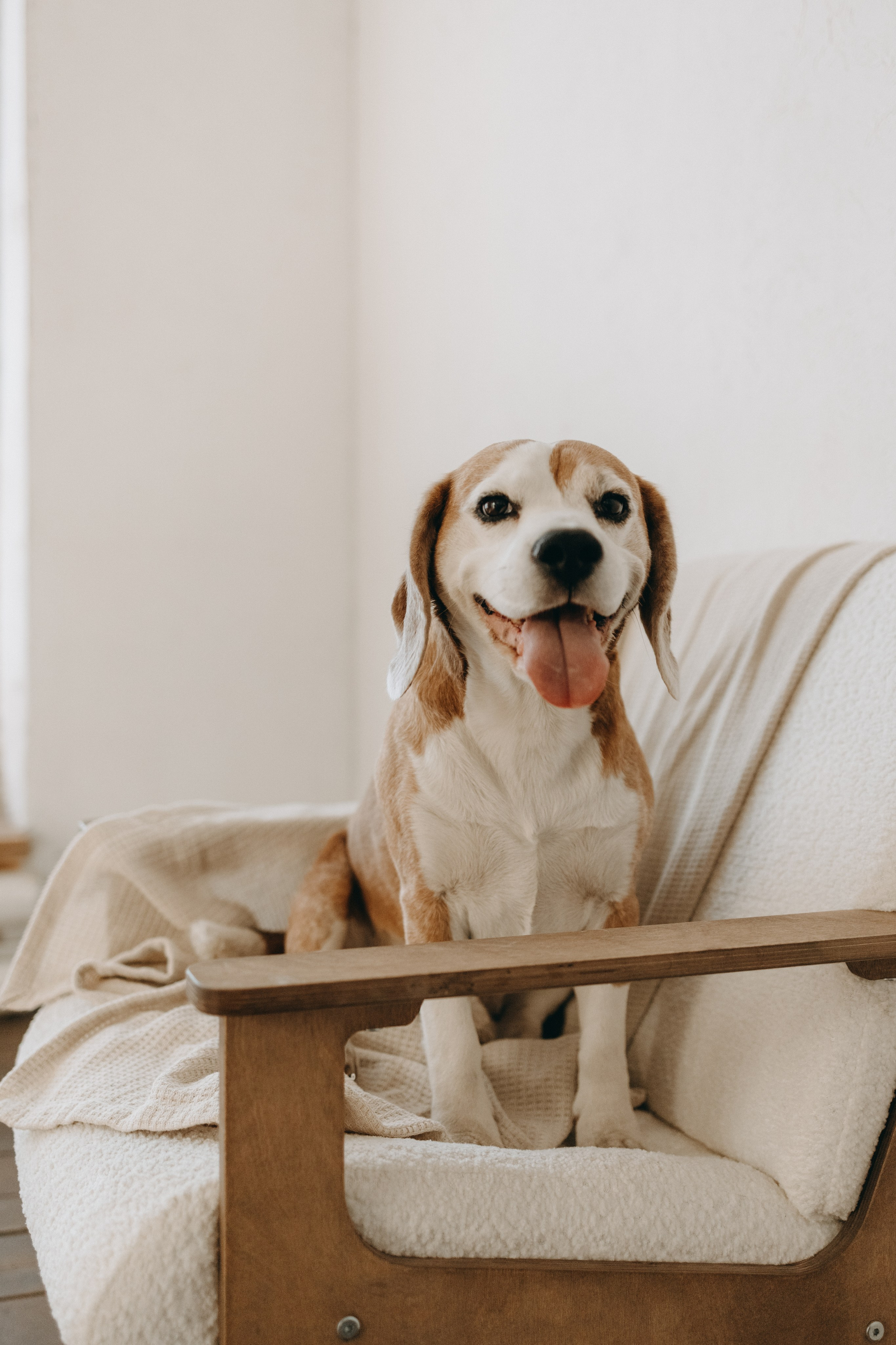 Даня и его семья. Фотограф — Анималист | Санкт-Петербург