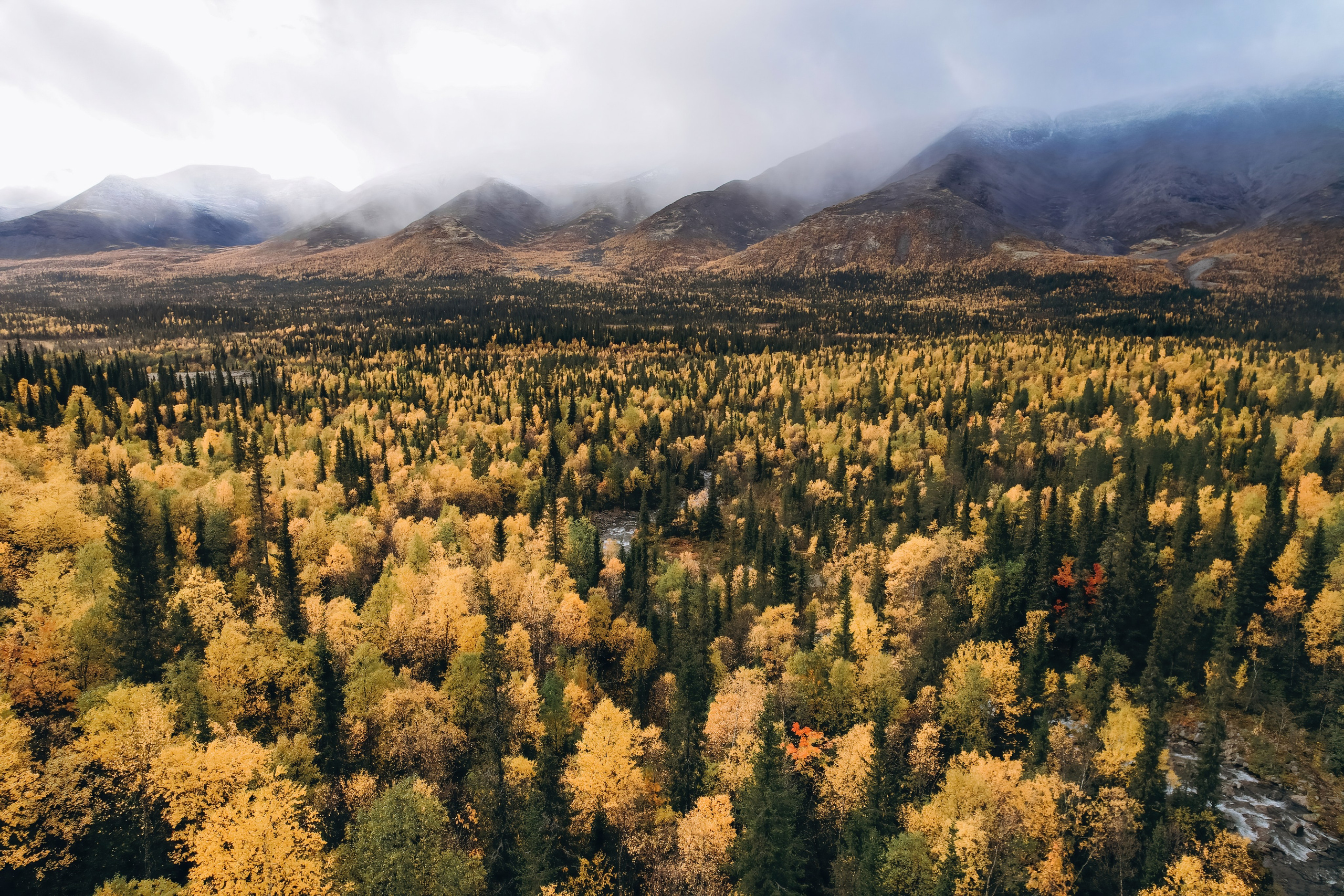 СЕВЕР. Event фотограф Степанова Александра