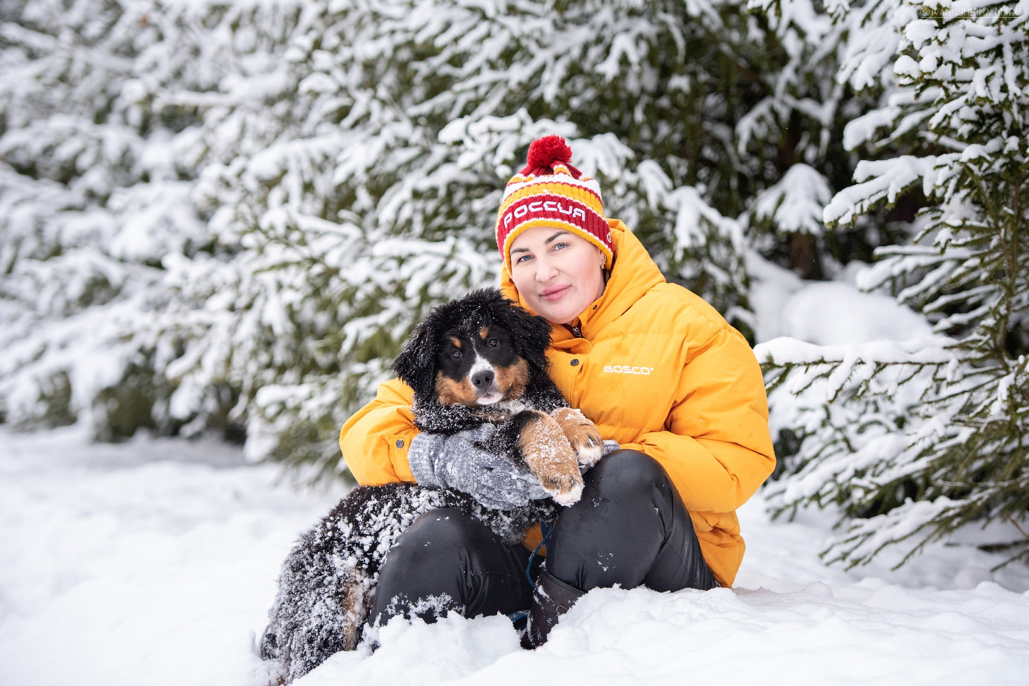 Фотосессия с собакой. Фотограф собак в Москве и Московской области Иванушкина Мария
