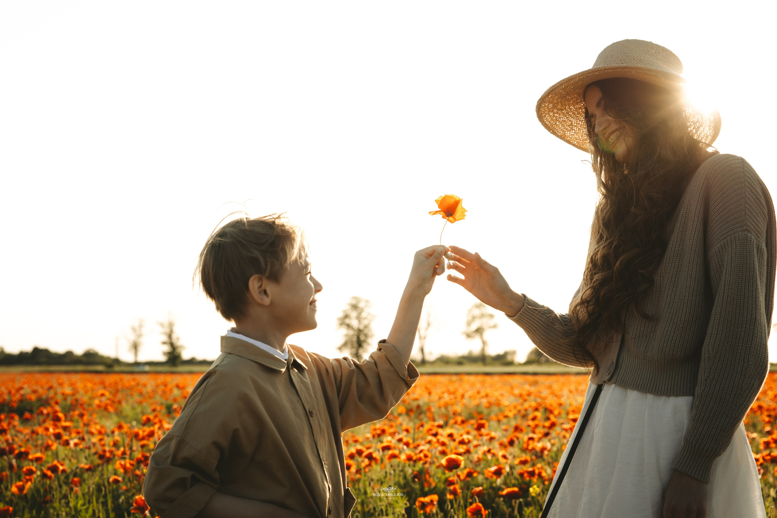 Дина и Влад / Маковые поля. Фотограф Калининград Илья Миллер