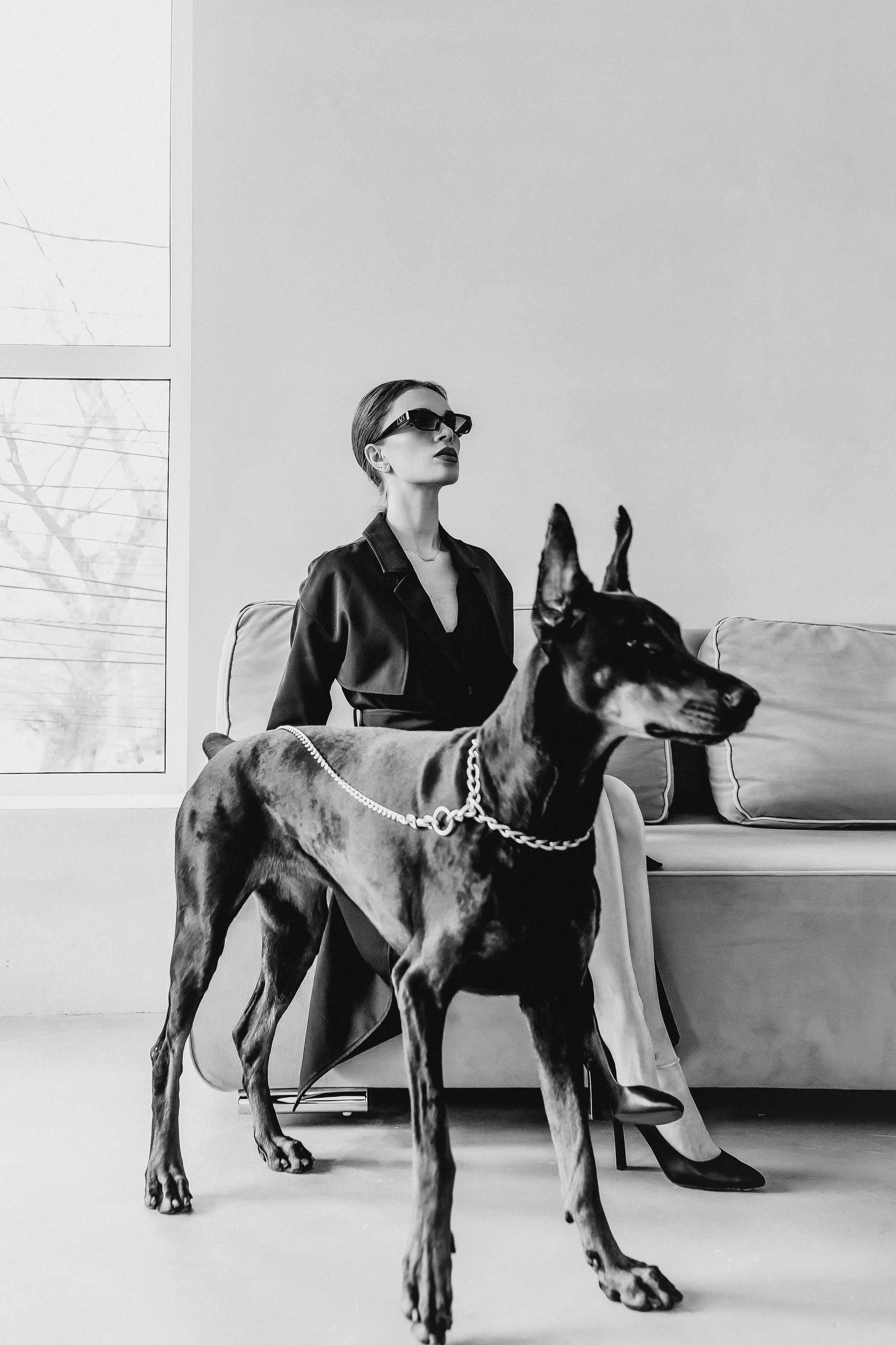 Наталья и доберман. Семейный и женский фотограф в Ростове-на-Дону Екатерина Фитисова