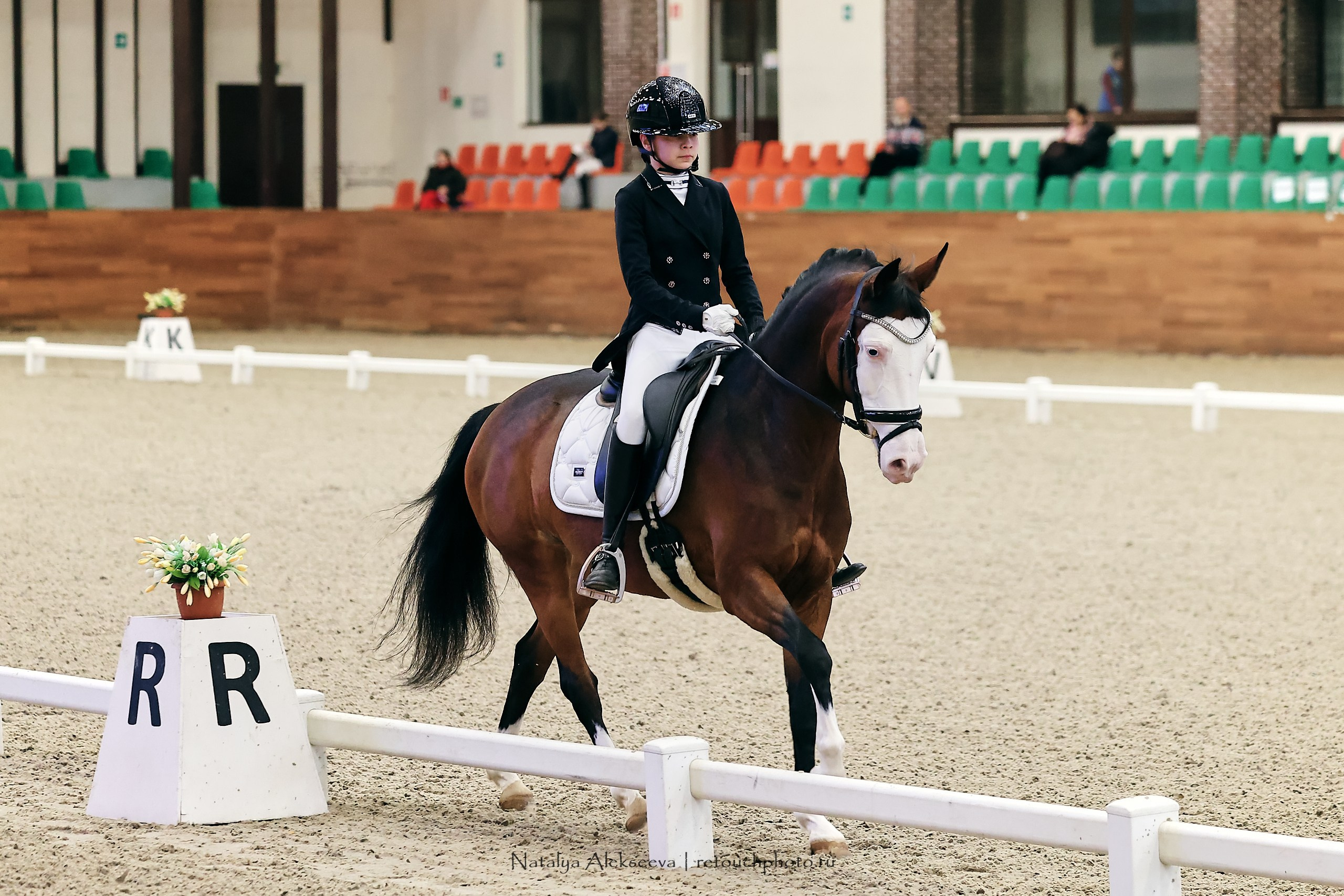 Maxima Masters Eurasia по выездке, Maxima Stables | 12'2023. Репортажный фотограф и ретушер в Москве Наталья Алексеева