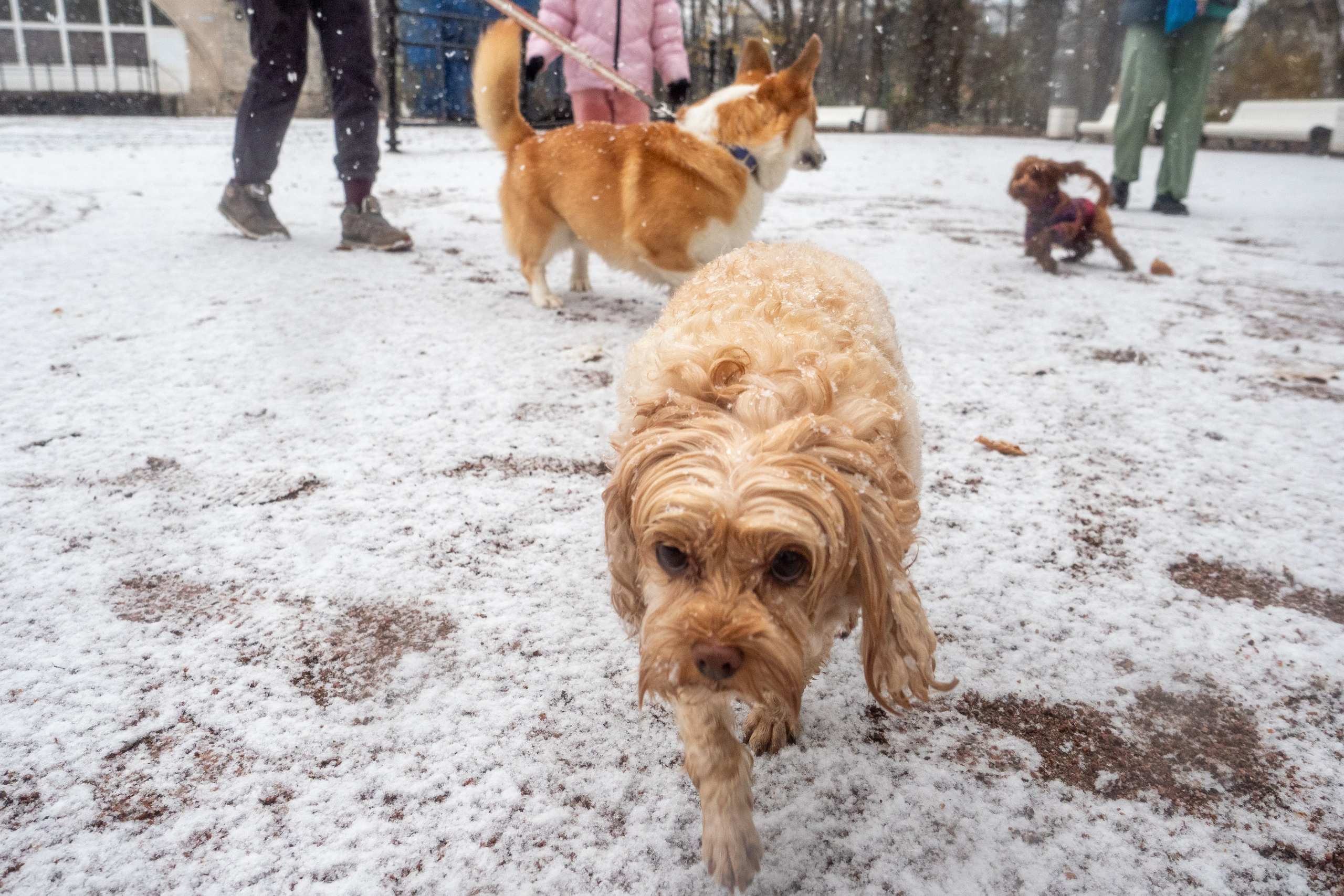 Фотомоменты 2024 года. Фотограф в Петербурге Олег Золото