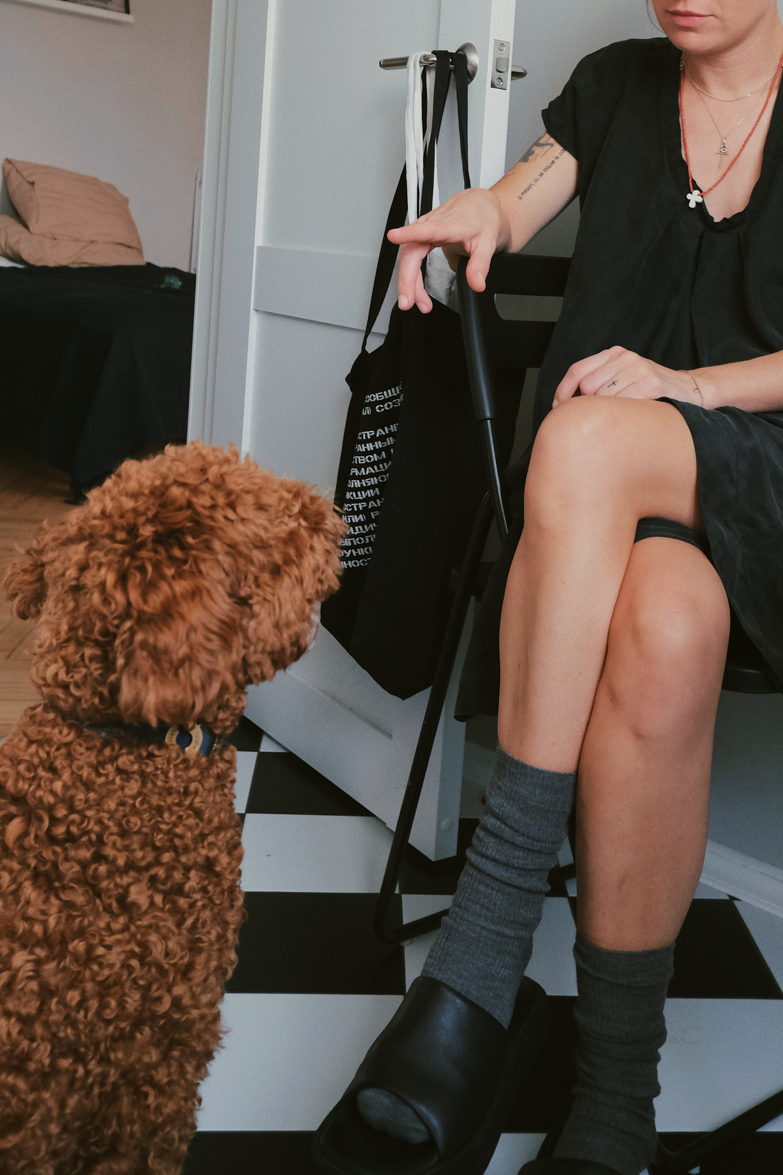 Питомцы. Татьян гертье