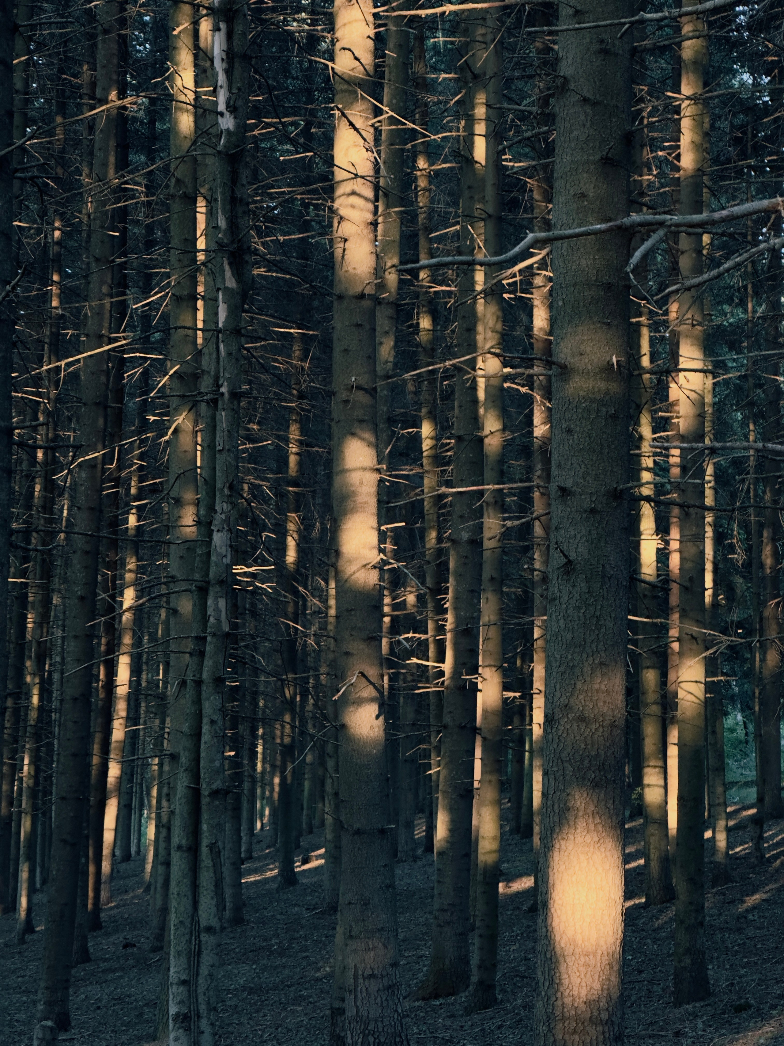 Флора и фауна. Смотри, красота!