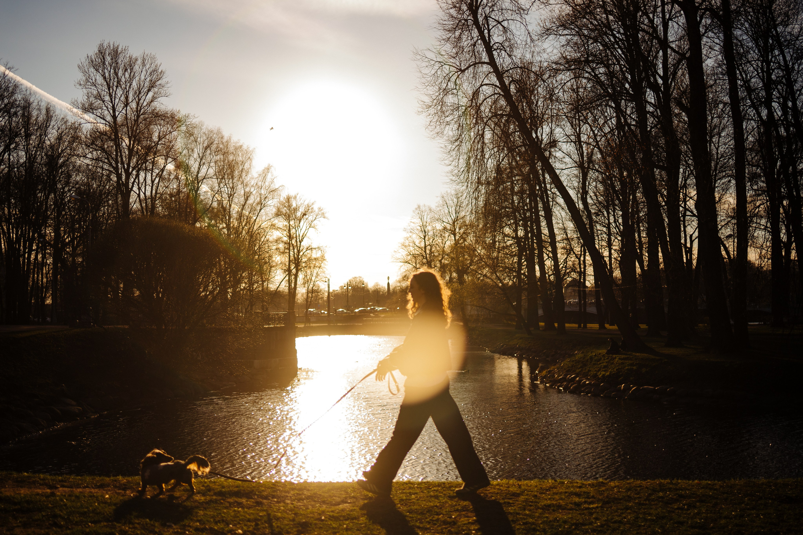 Одна прогулка из жизни Бимы. Семейный фотограф Питер •love-story•|Санкт-Петербург