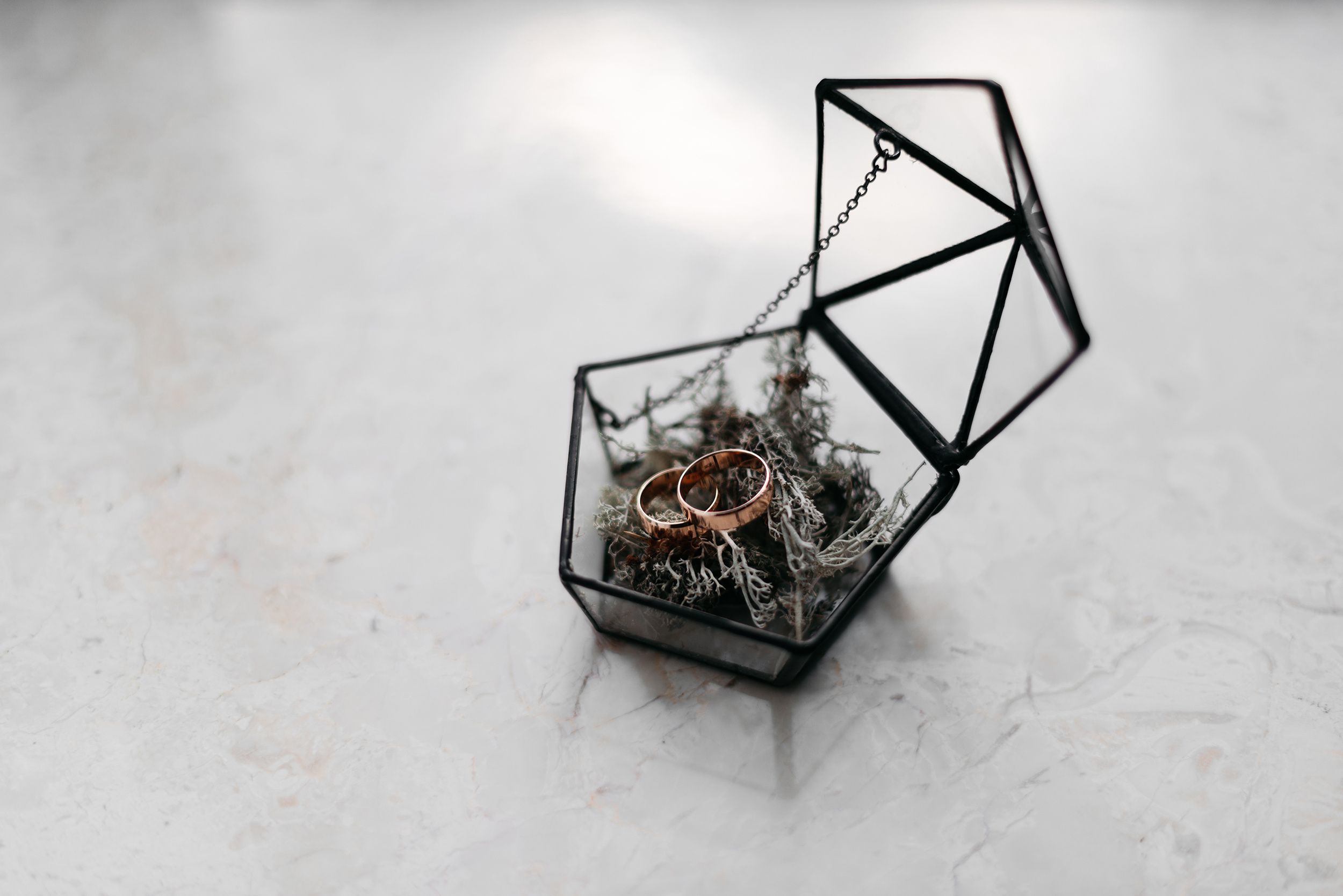 Фотограф Олег Иванов Псков ivamedia. Олег и Мария Ивановы фотограф и видеограф в Пскове Санкт - Петербурге