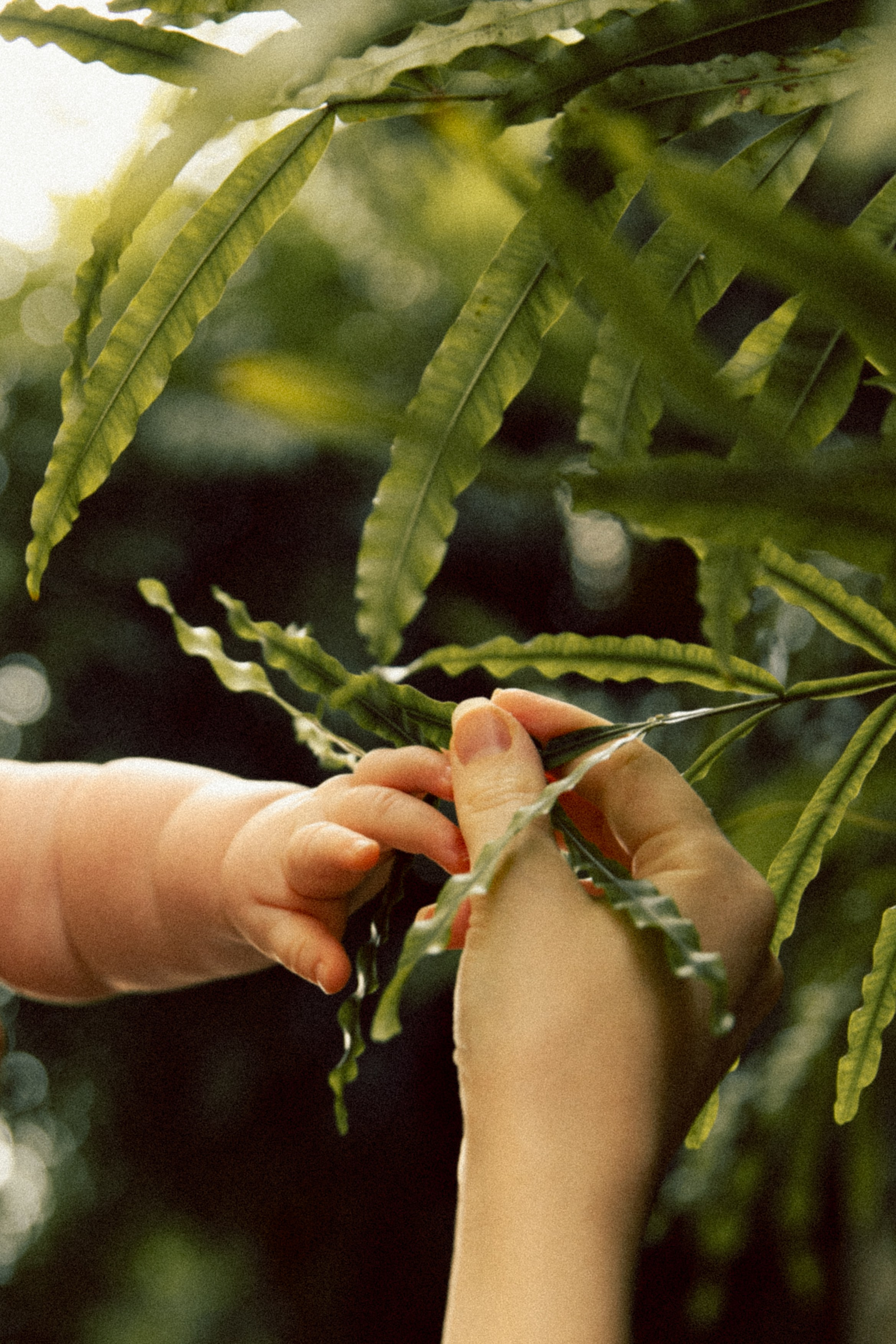Katya+ Sergey+ Ksusha. Портретный фотограф / Панама / Анастасия Елизарова