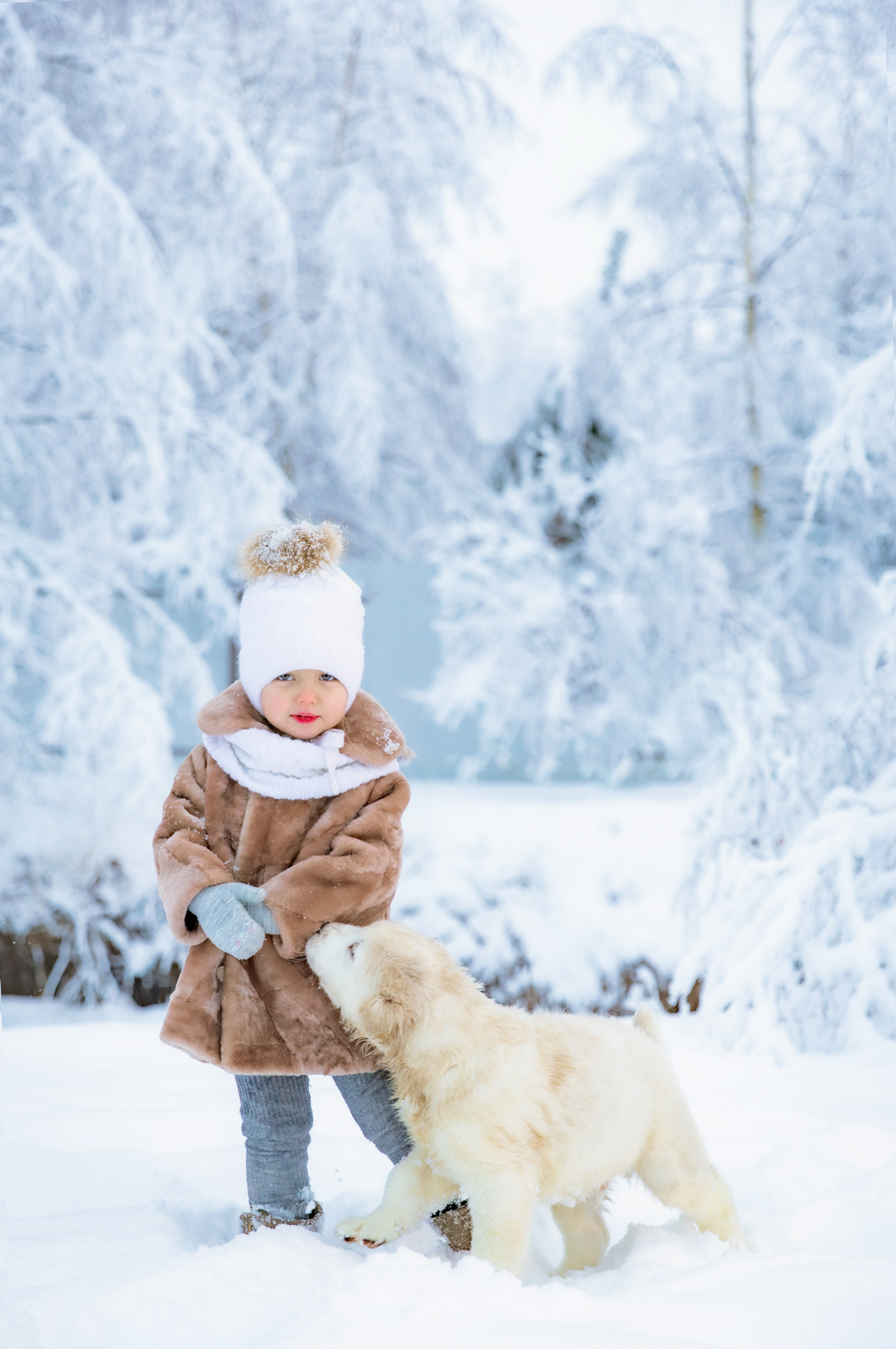 С ЖИВОТНЫМИ. Фото, видео, авторские выпускные альбомы в Нижнем Новгороде