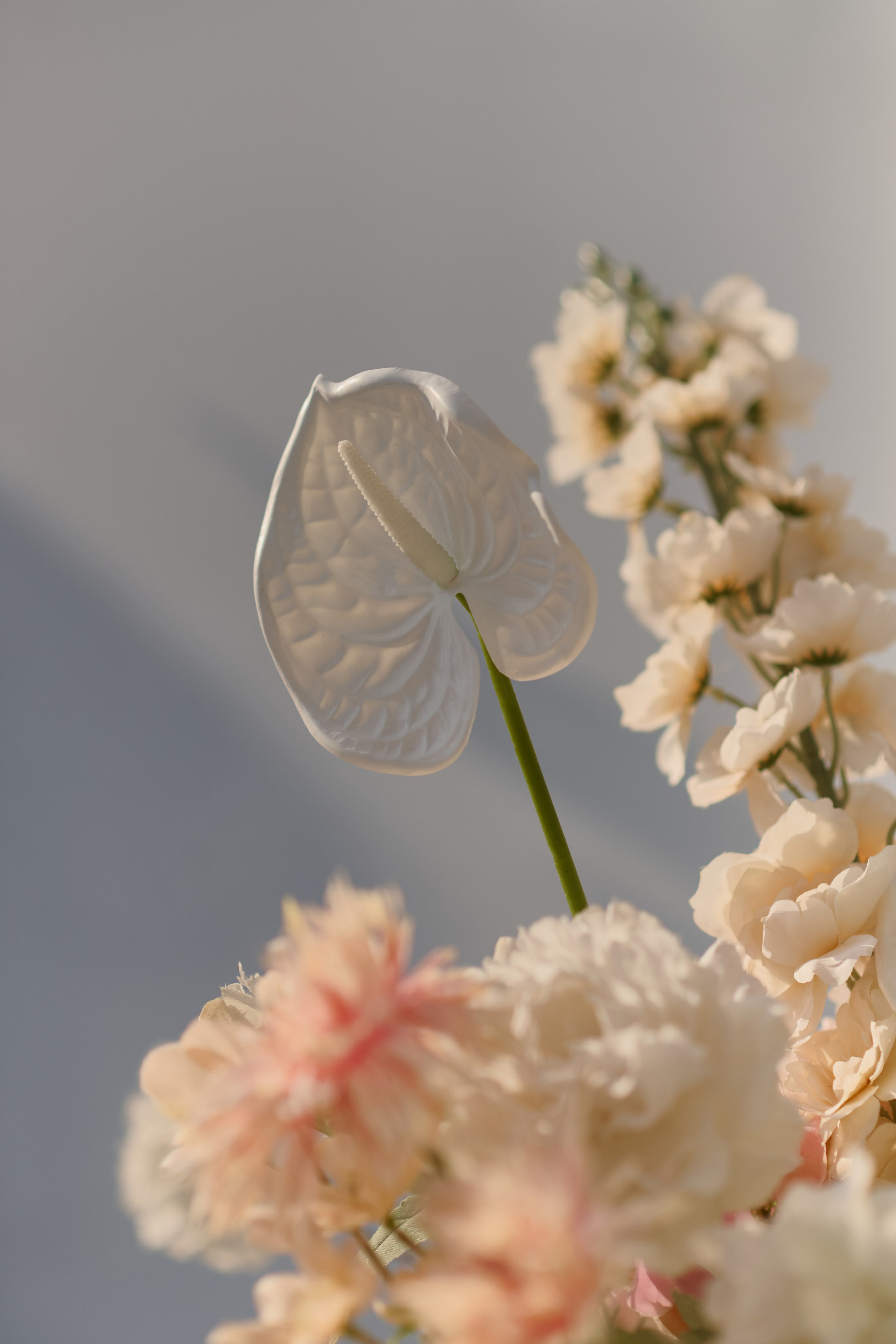 Ильнар и Лиза — 4Elements. Свадебный фотограф Екатеринбург/Челябинск — Любовь Волохова