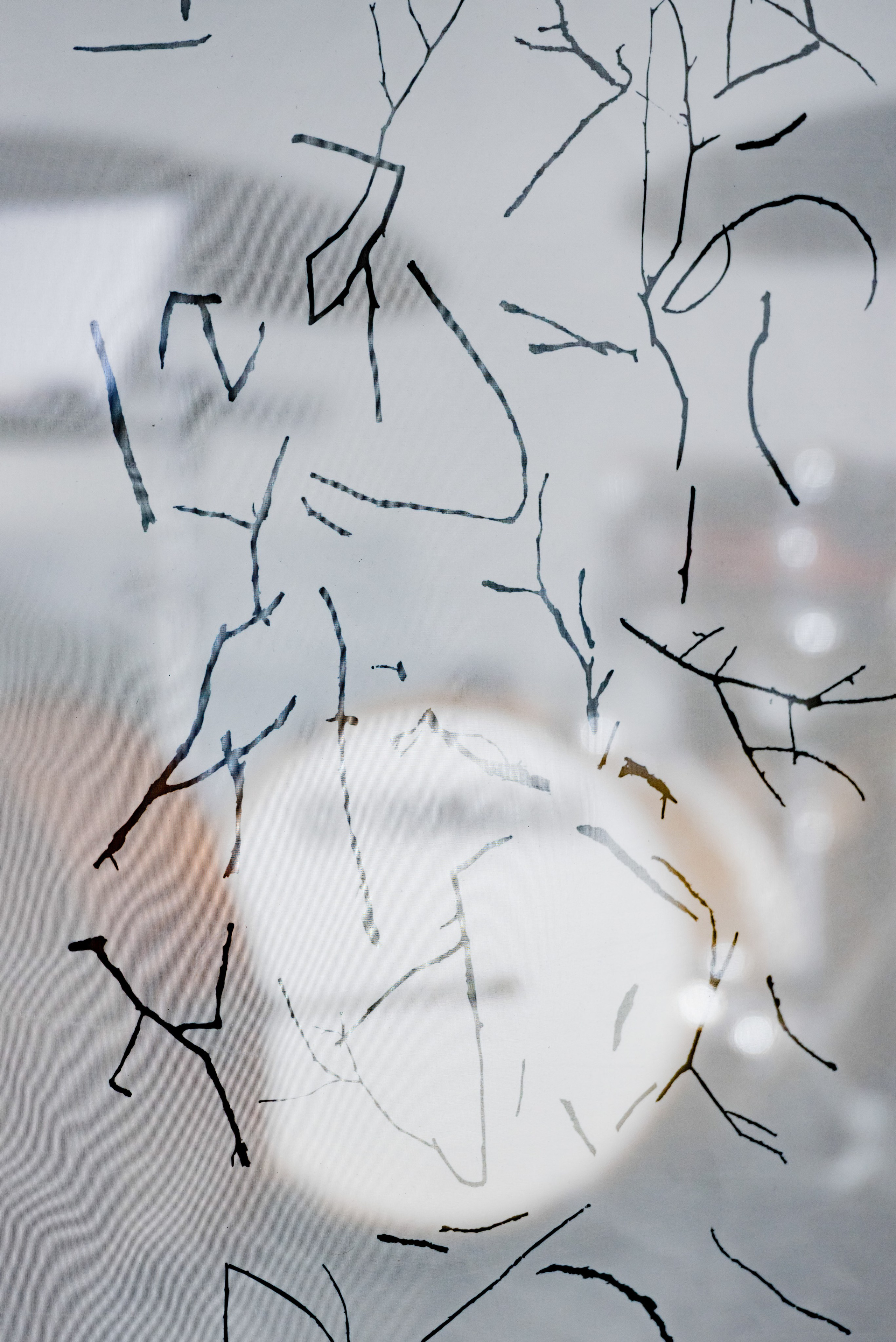 Выставки. Фотограф Руслан Хафизов