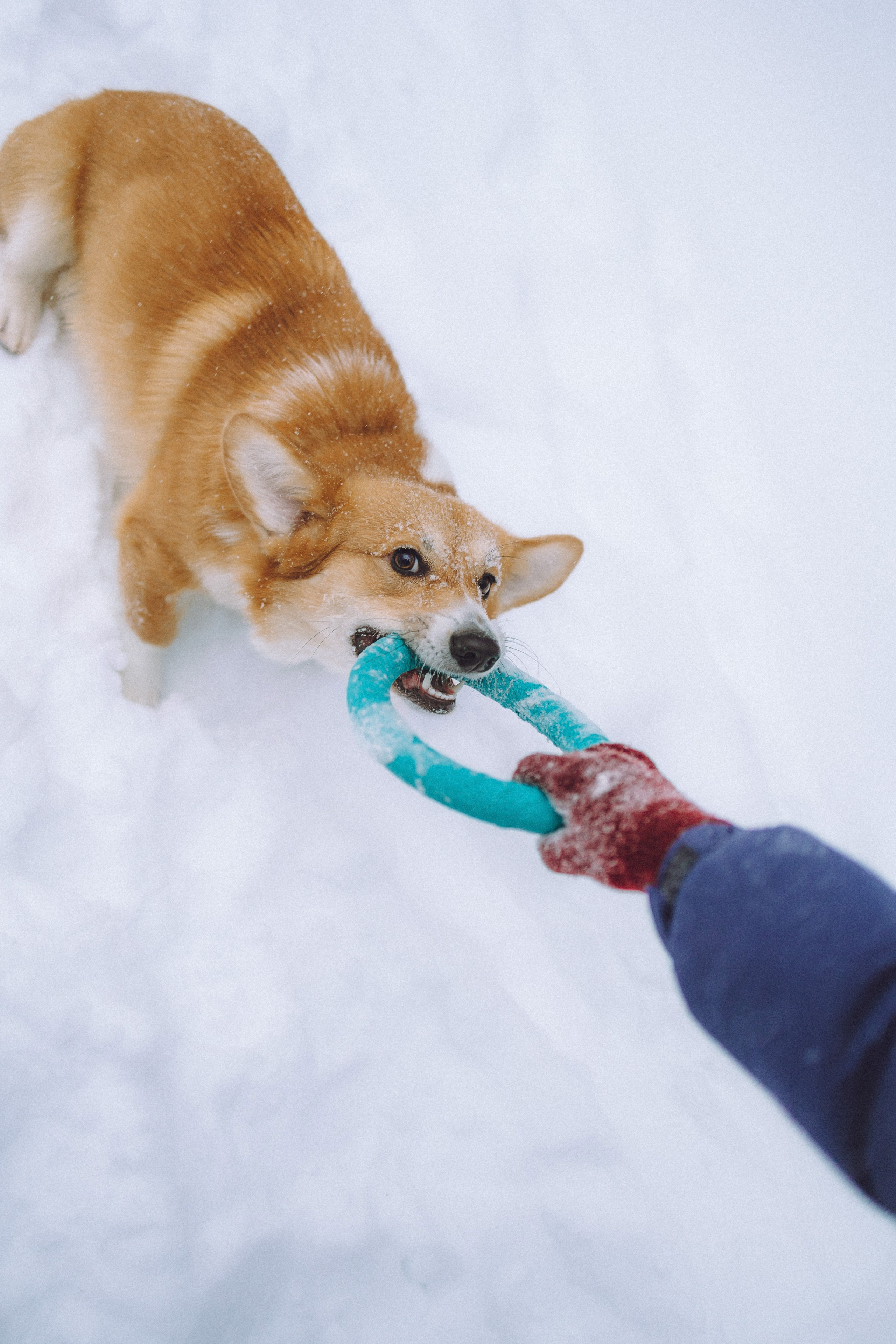 Юля и Юпитер