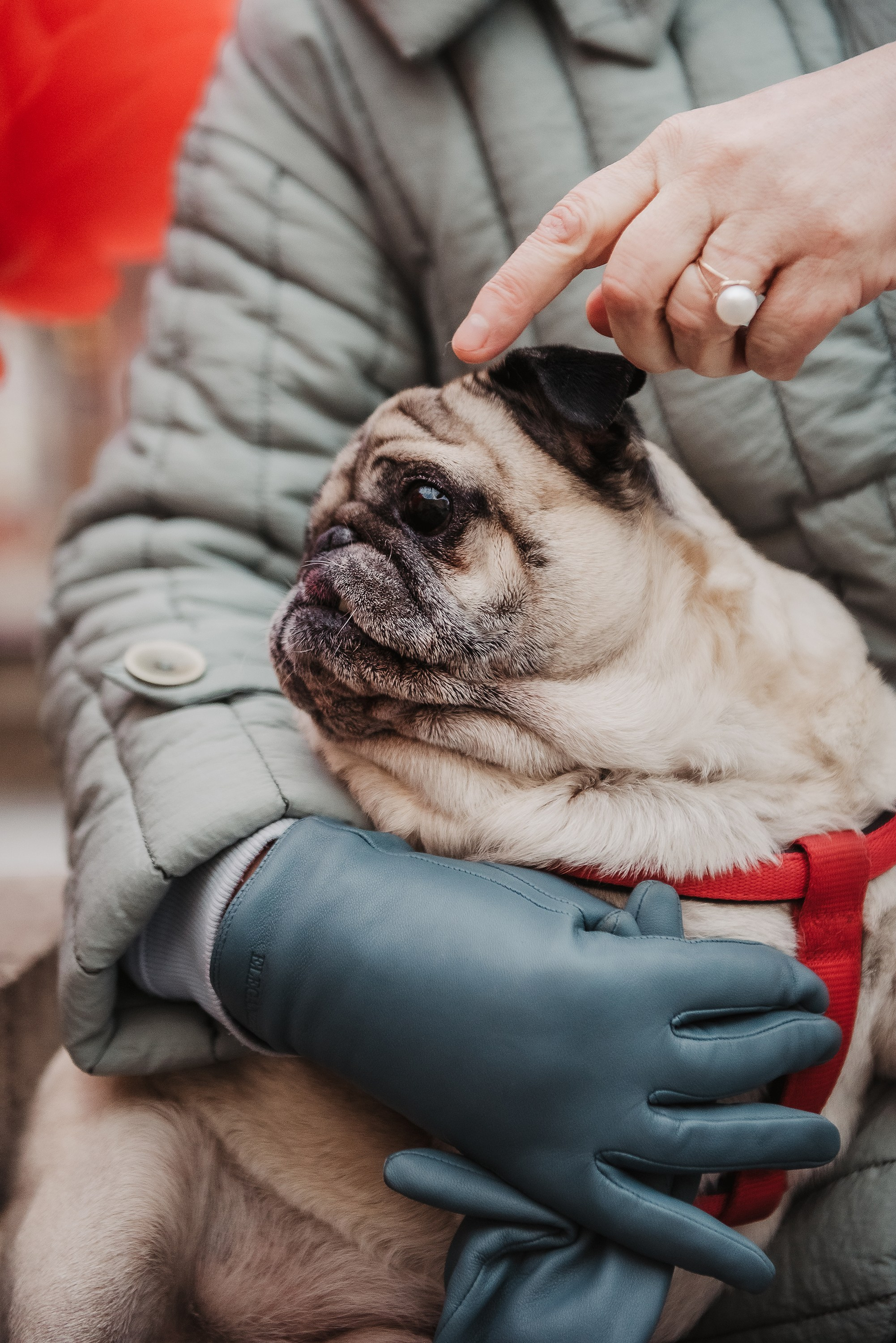 Ольга и Потапум. Прогулка к чайному дому. Семейный Фотограф в Москве Ирина Хохлова