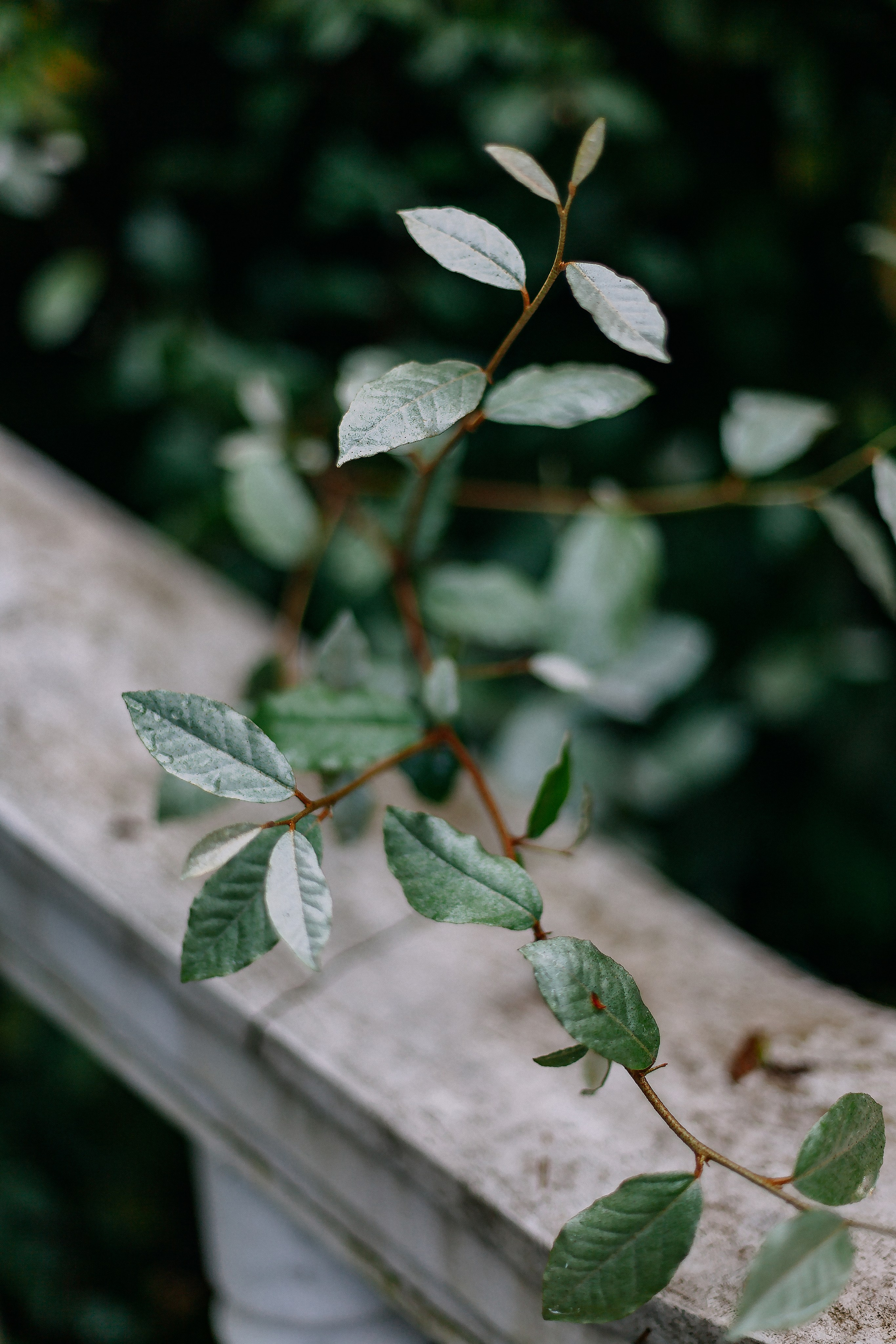 Сочи. Аня Степанова