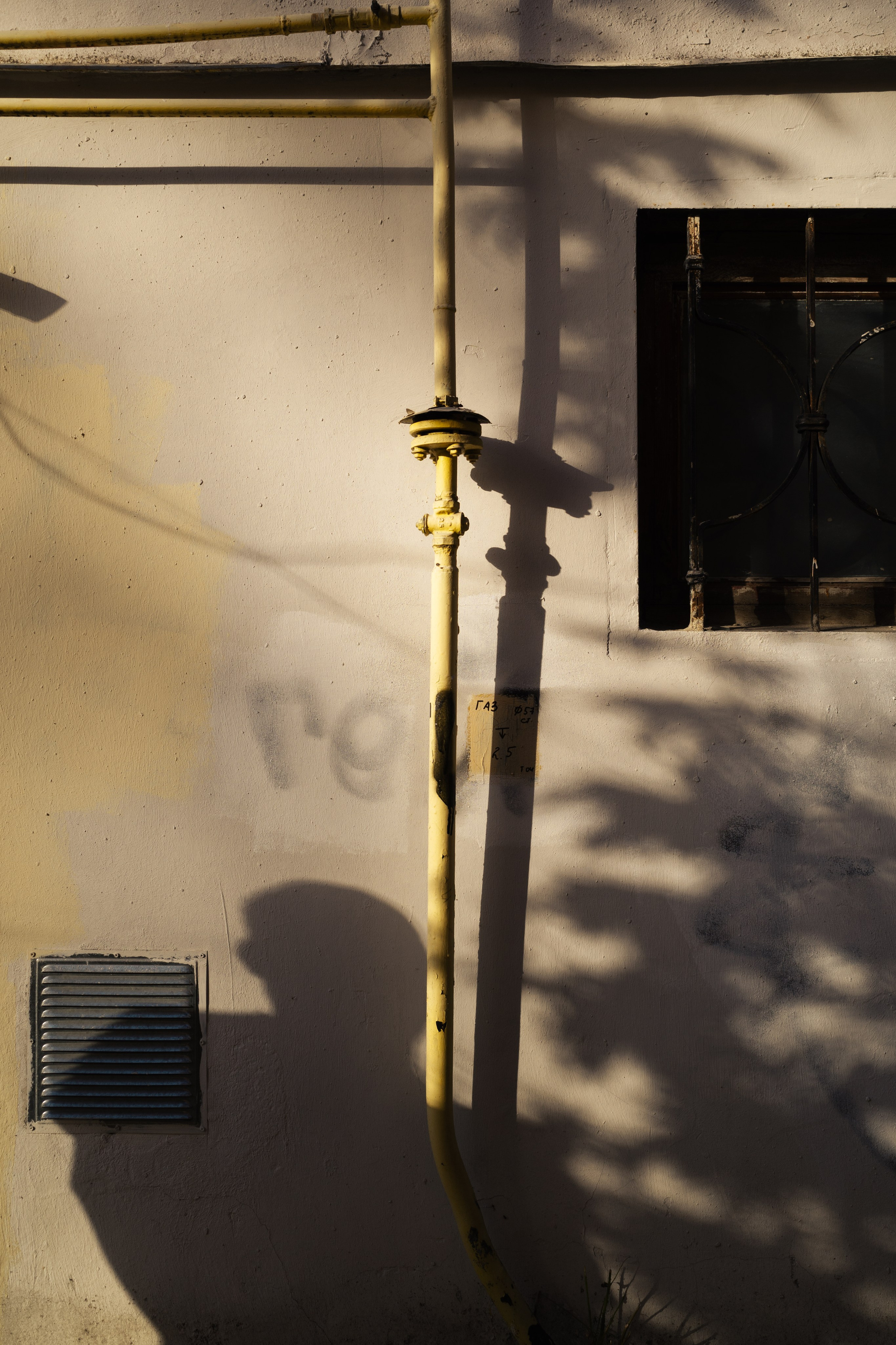 Калуга. Портретный и уличный фотограф в Москве Таня Корнеева