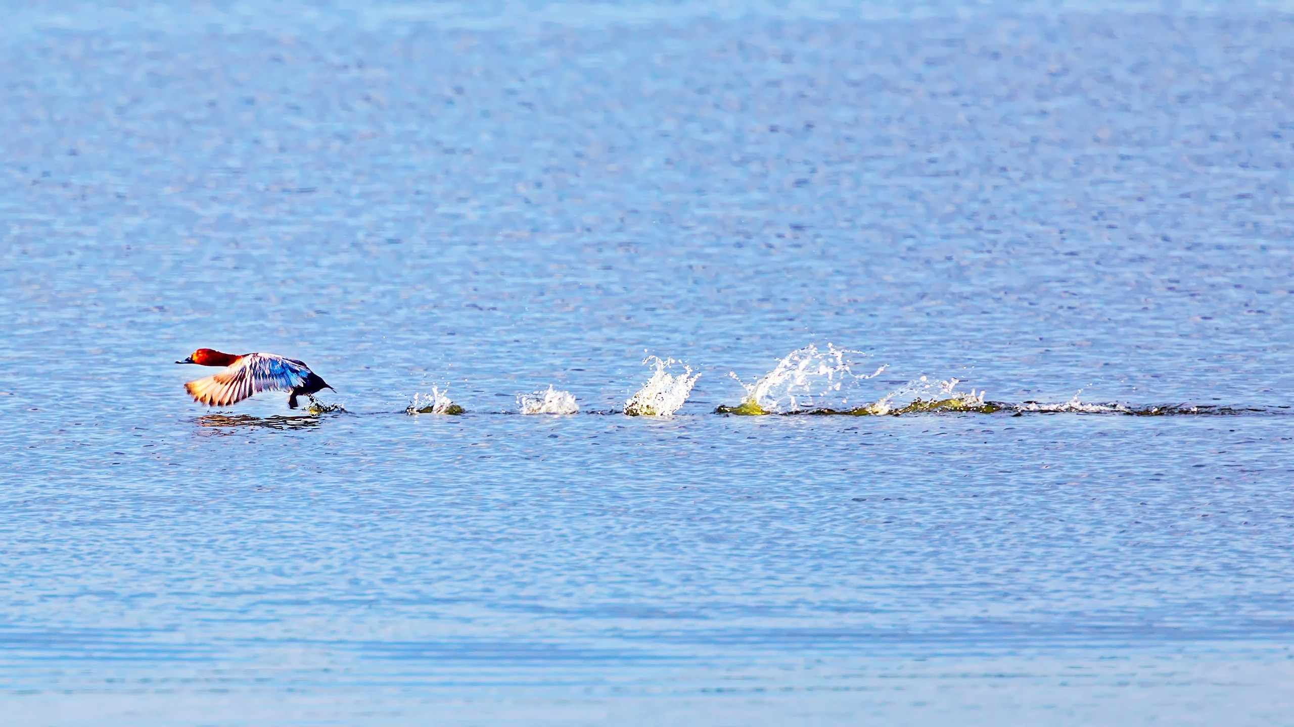 ПРИРОДА. Слепки времени. Фотографии природы и событий. Москва. Сергей Аллагулов