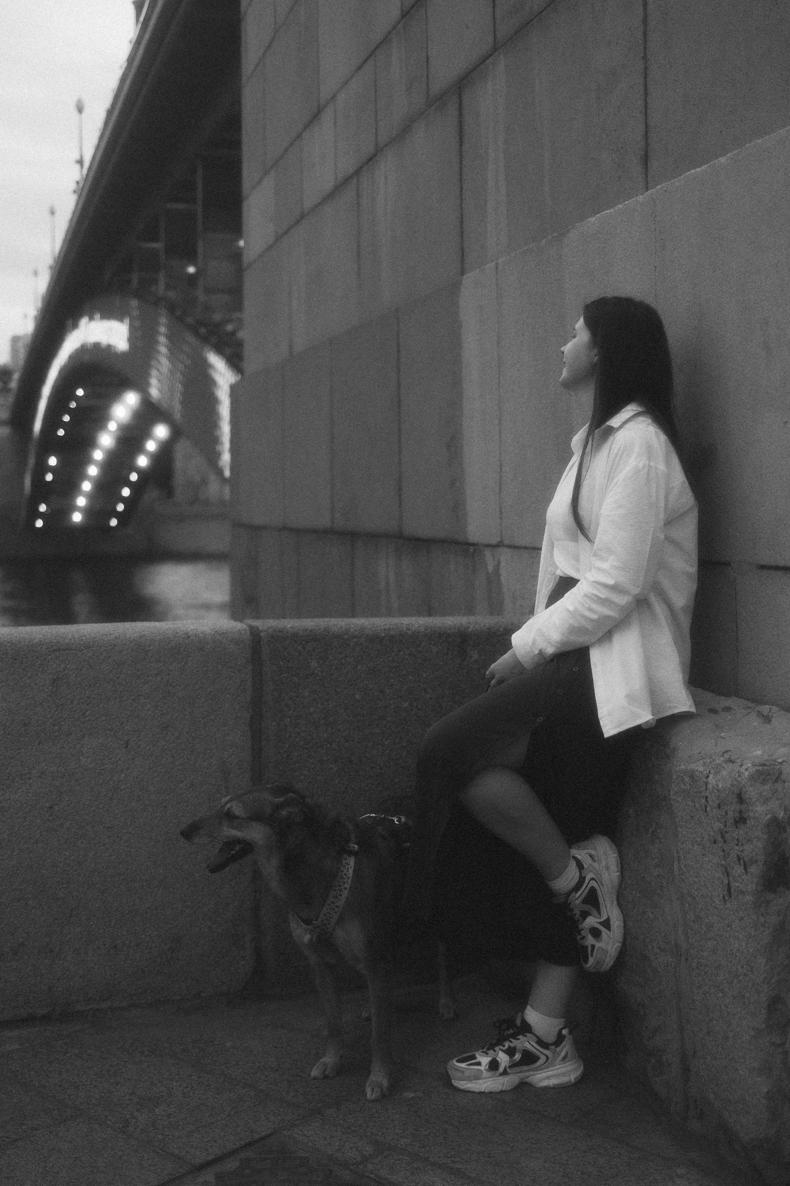 Глаша, Айрон, Ксюша и Оля. Фотограф анималист Анастасия Пикей