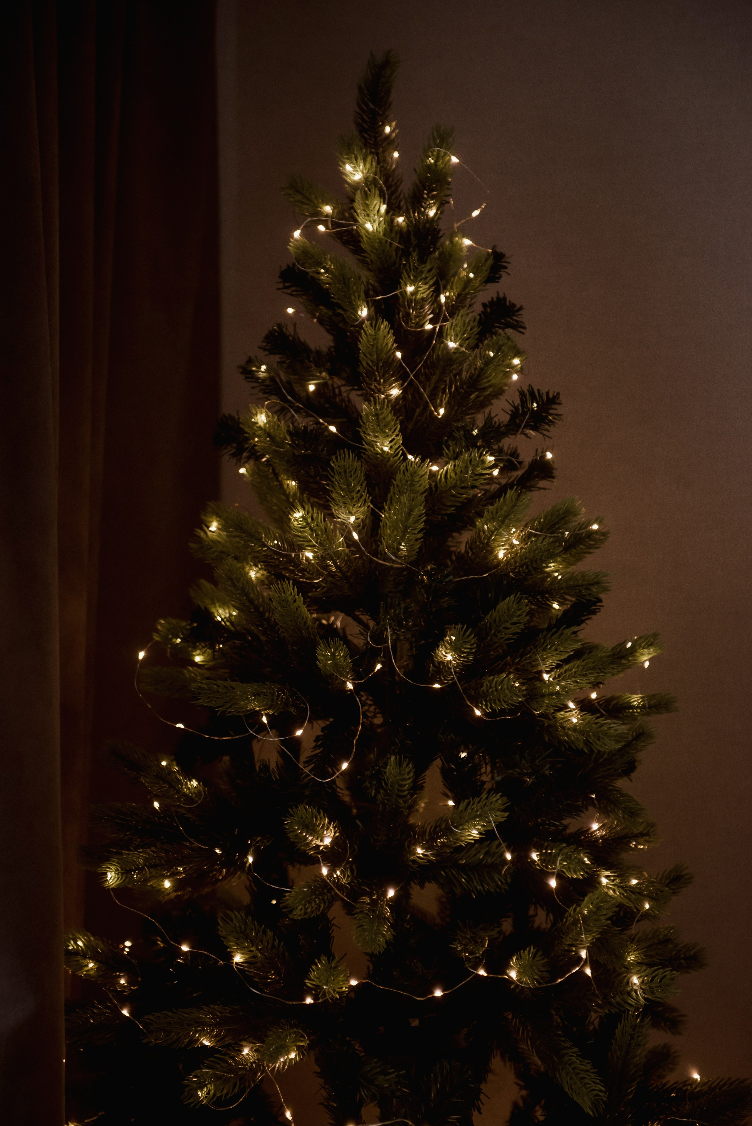 Зимний день. Семейный фотограф в Новочеркасске Виктория Громова
