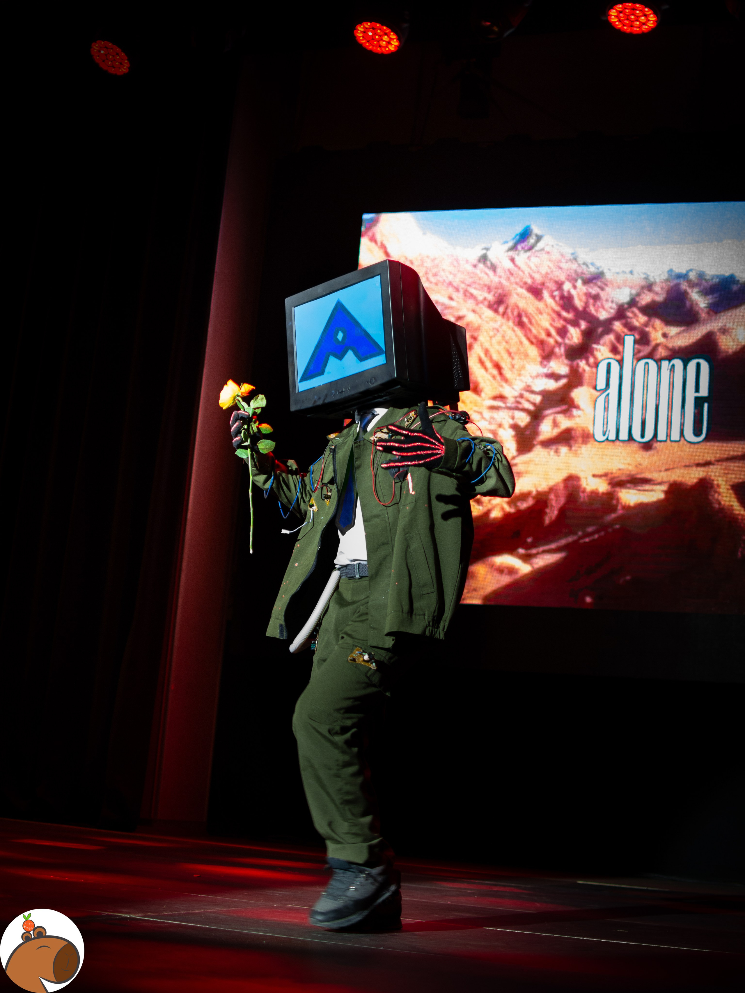 5 ночей с Капибарой. Уголок Капибарки