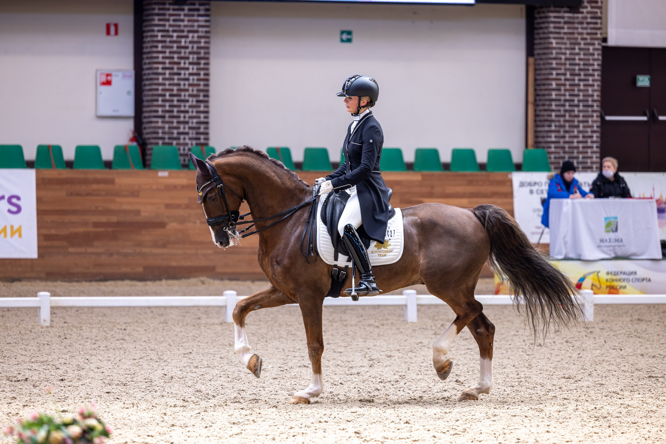 Выездка. Mrs.Aquarelia Конный фотограф Марианна Леонтьева