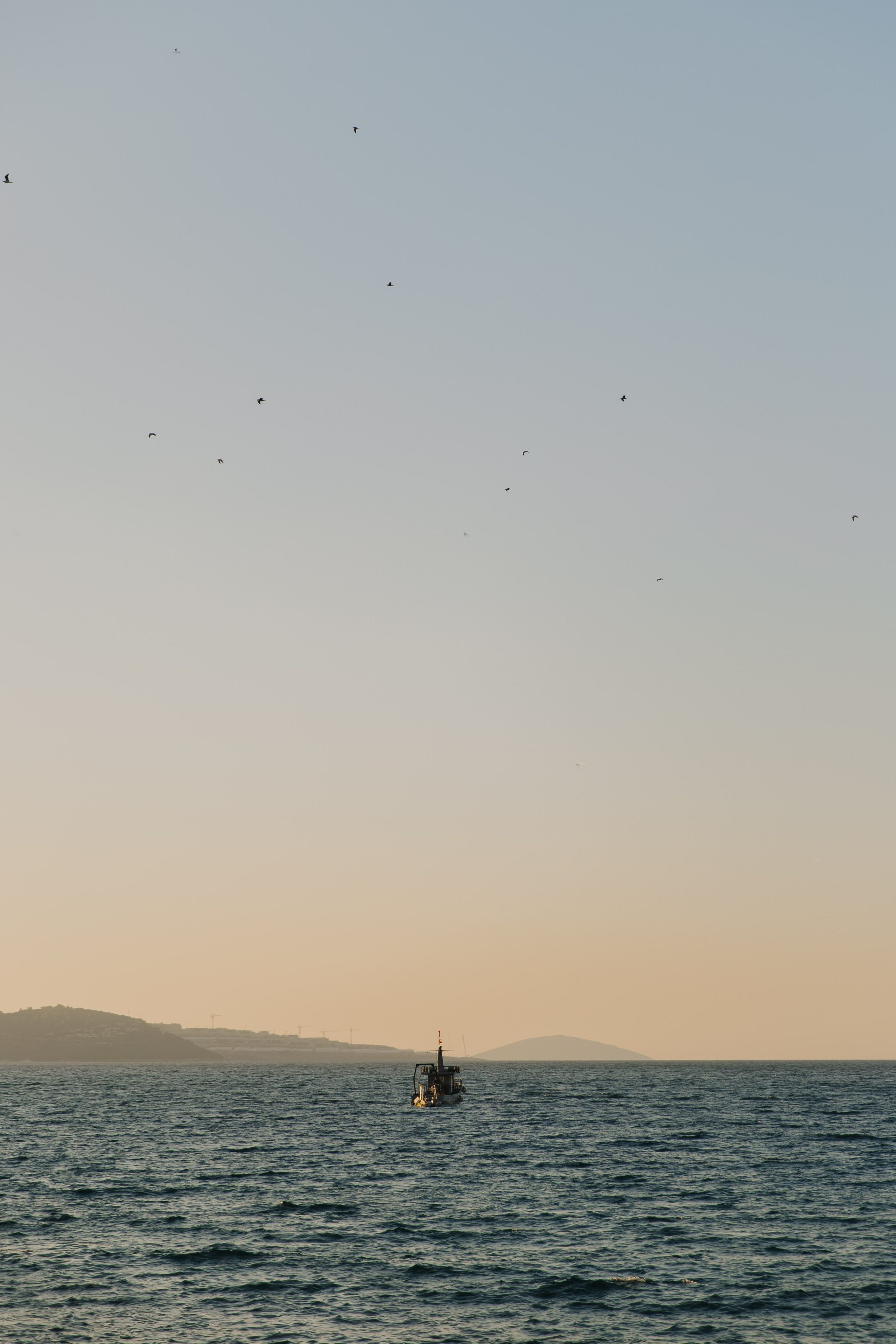 Алиса | Антон