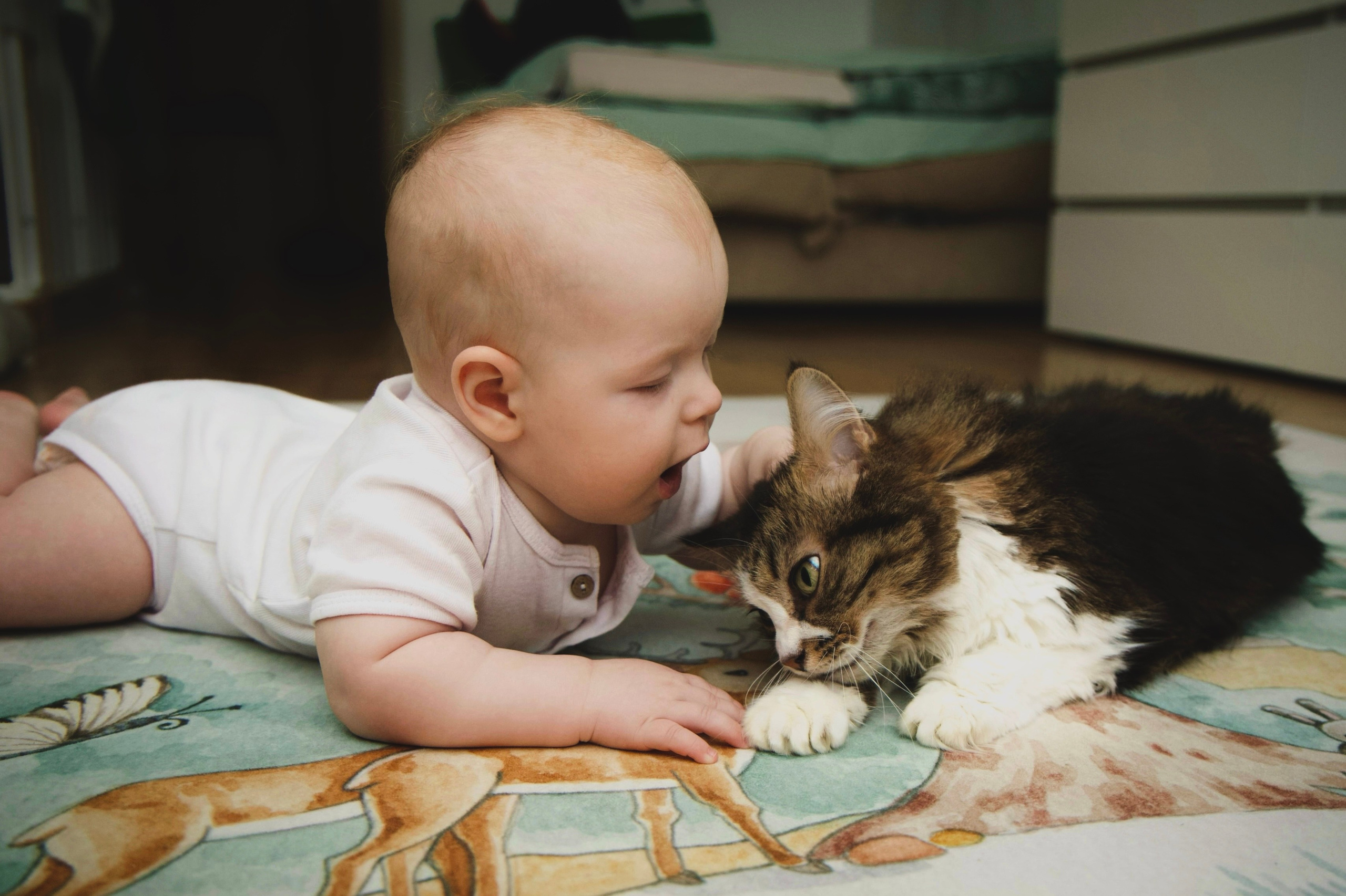 Детская фотосессия. Фотограф в Санкт-Петербурге