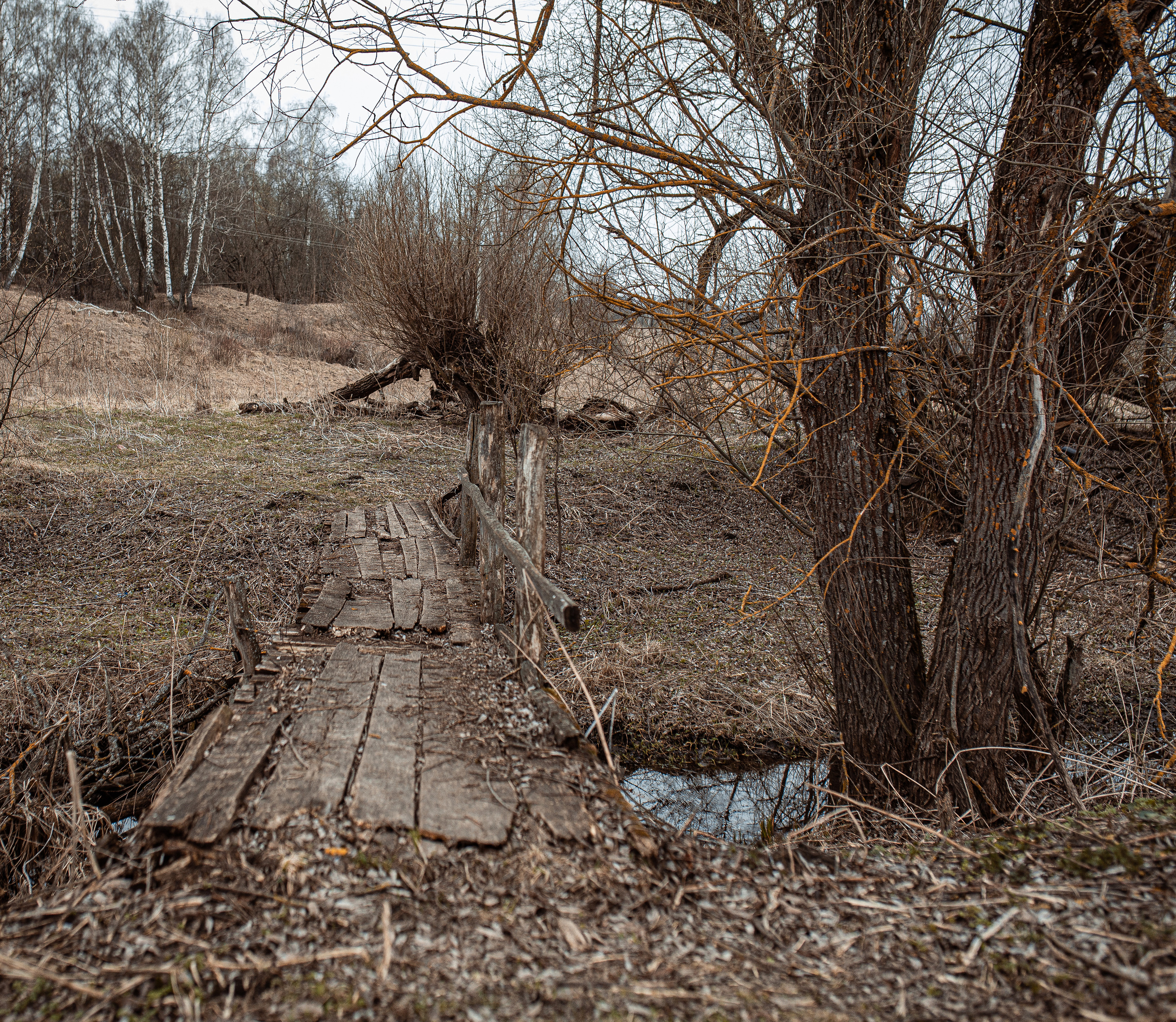 Мария & Павел. Семейный фотограф в Москве и Московской области Донкова Екатерина