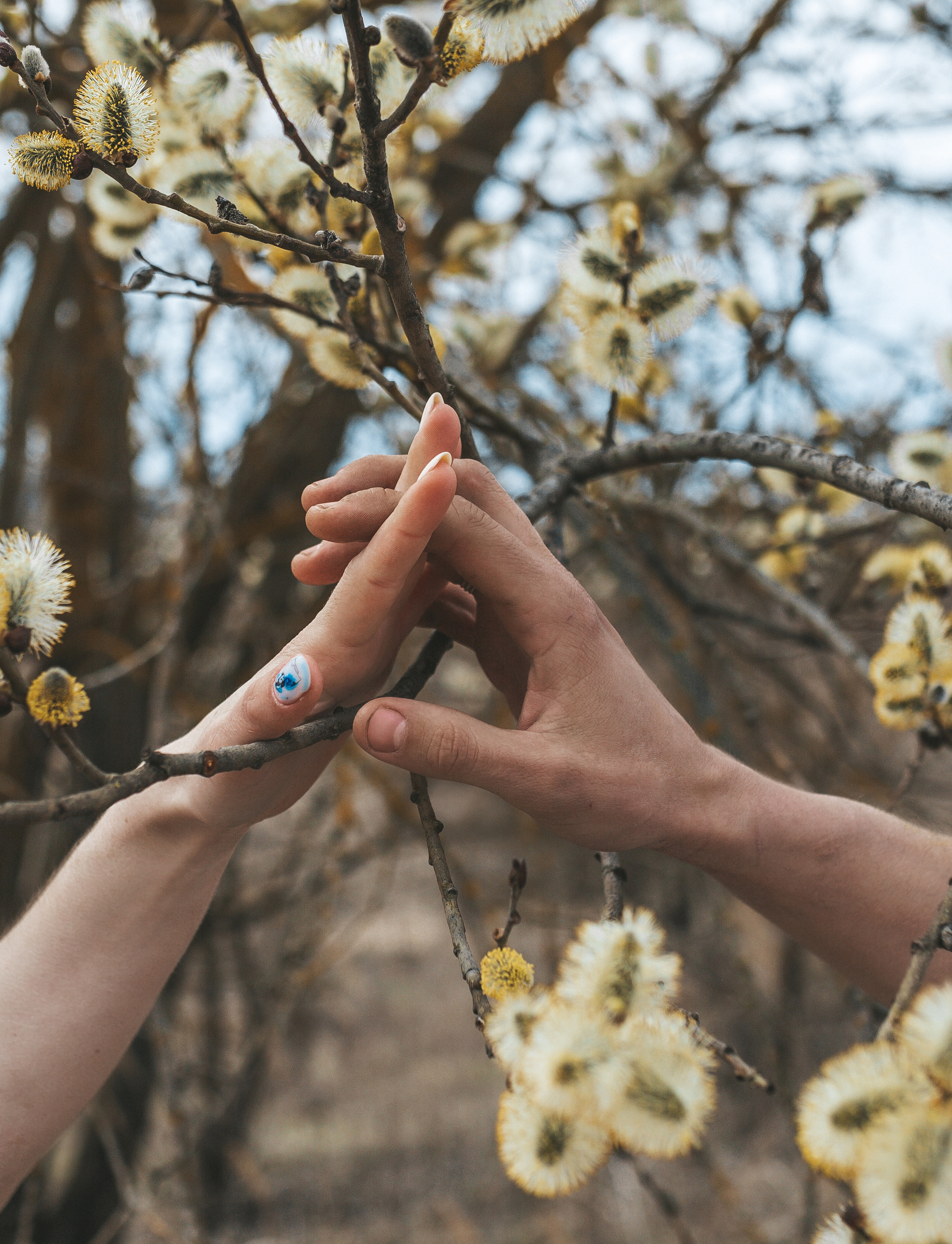 Мария & Павел. Семейный фотограф в Москве и Московской области Донкова Екатерина