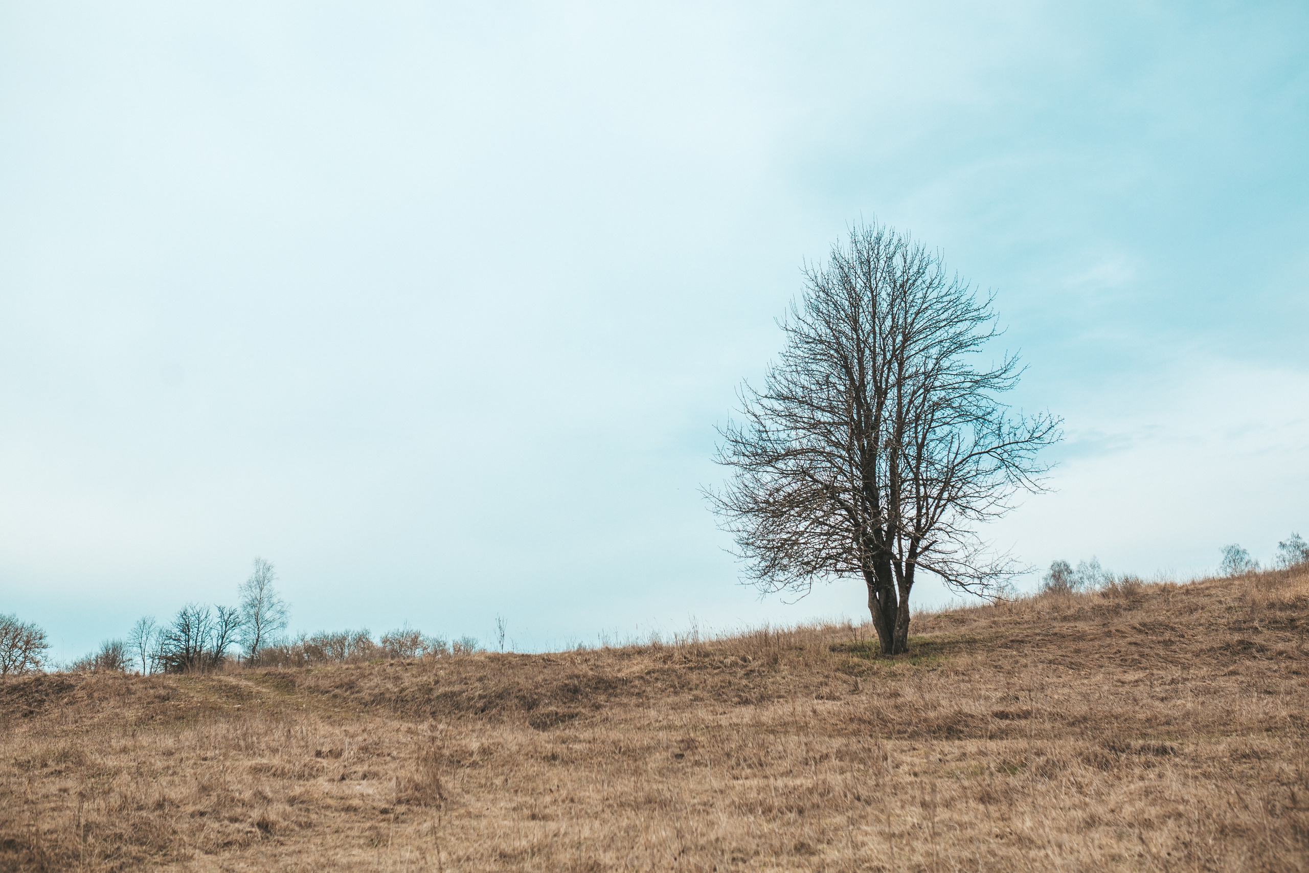 Мария & Павел. Семейный фотограф в Москве и Московской области Донкова Екатерина