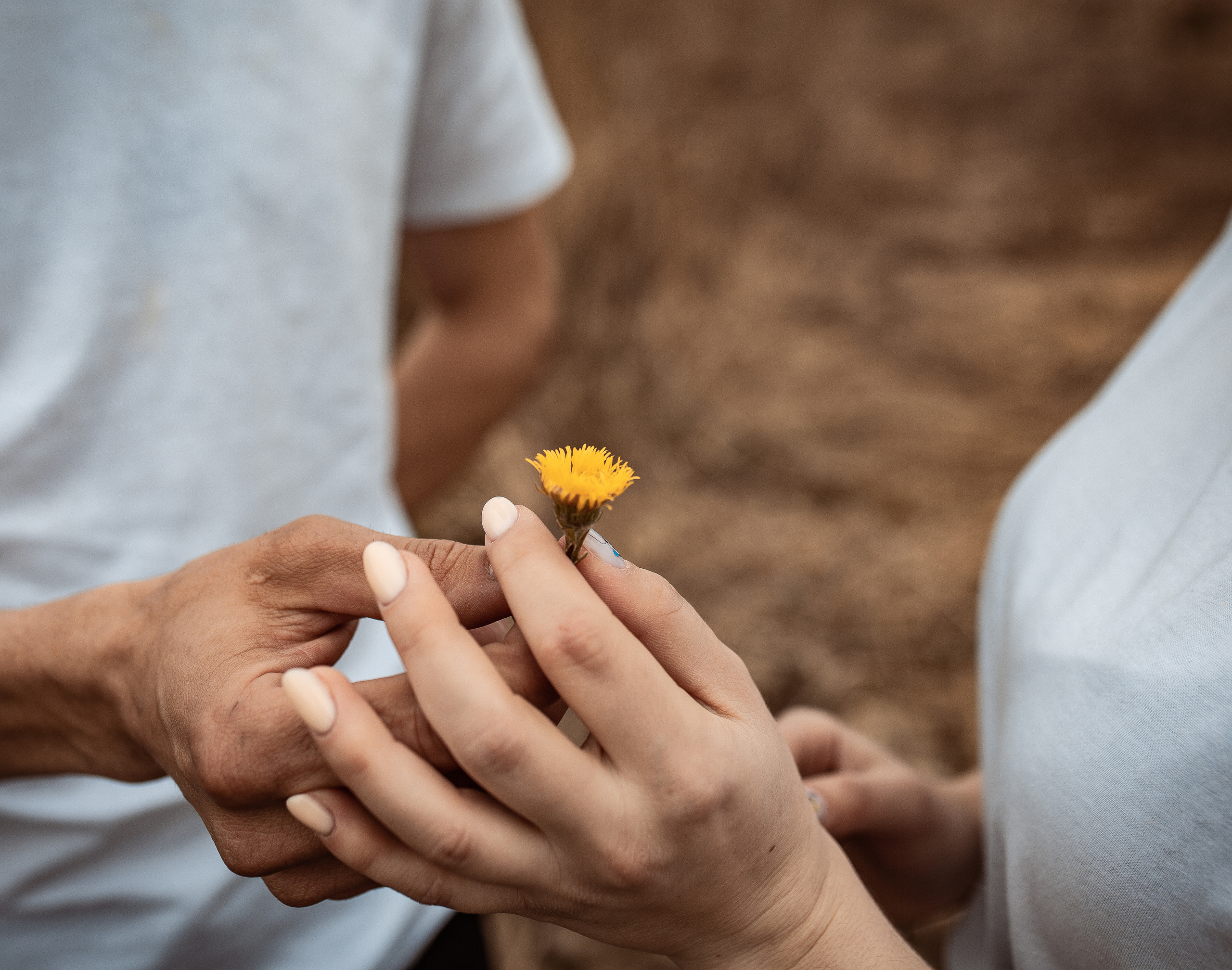 Мария & Павел. Семейный фотограф в Москве и Московской области Донкова Екатерина