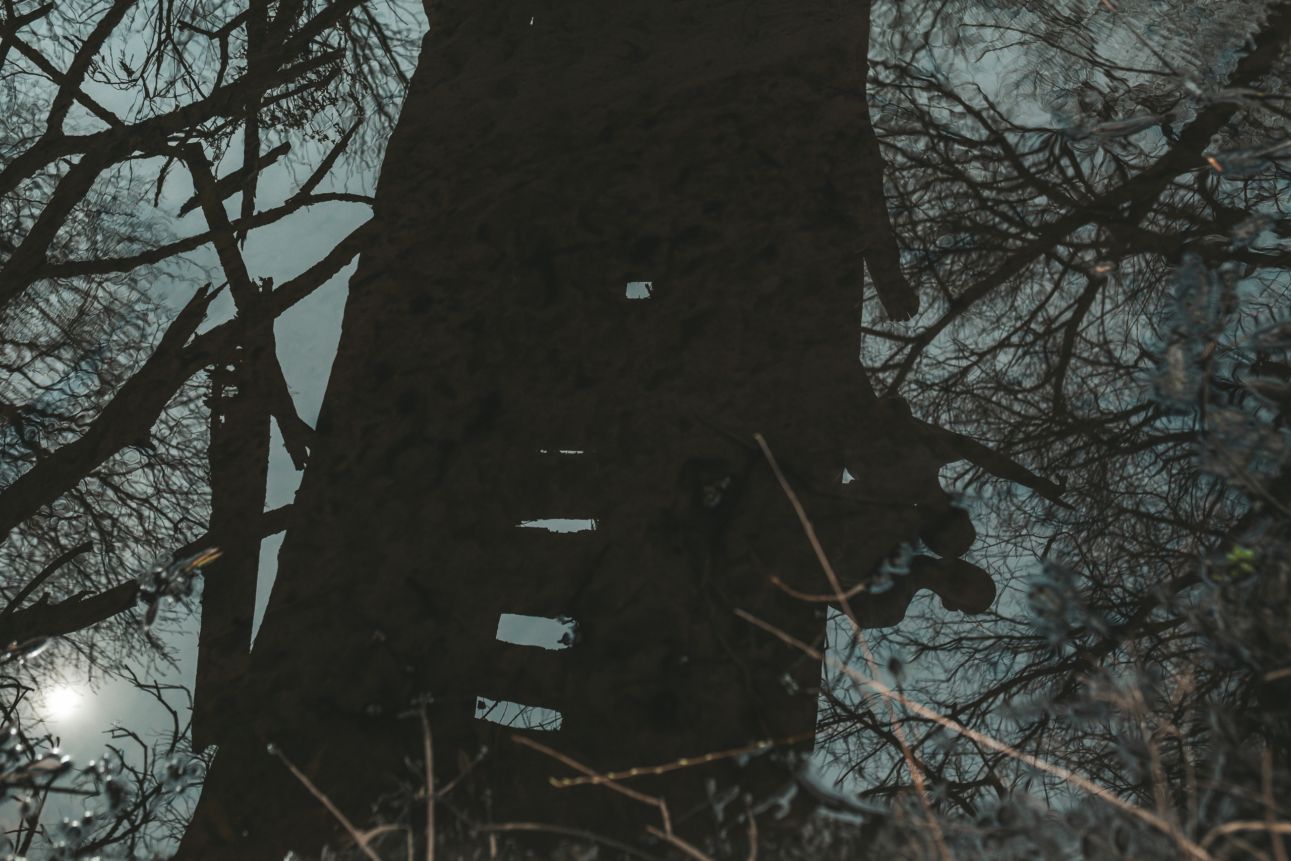 Мария & Павел. Семейный фотограф в Москве и Московской области Донкова Екатерина