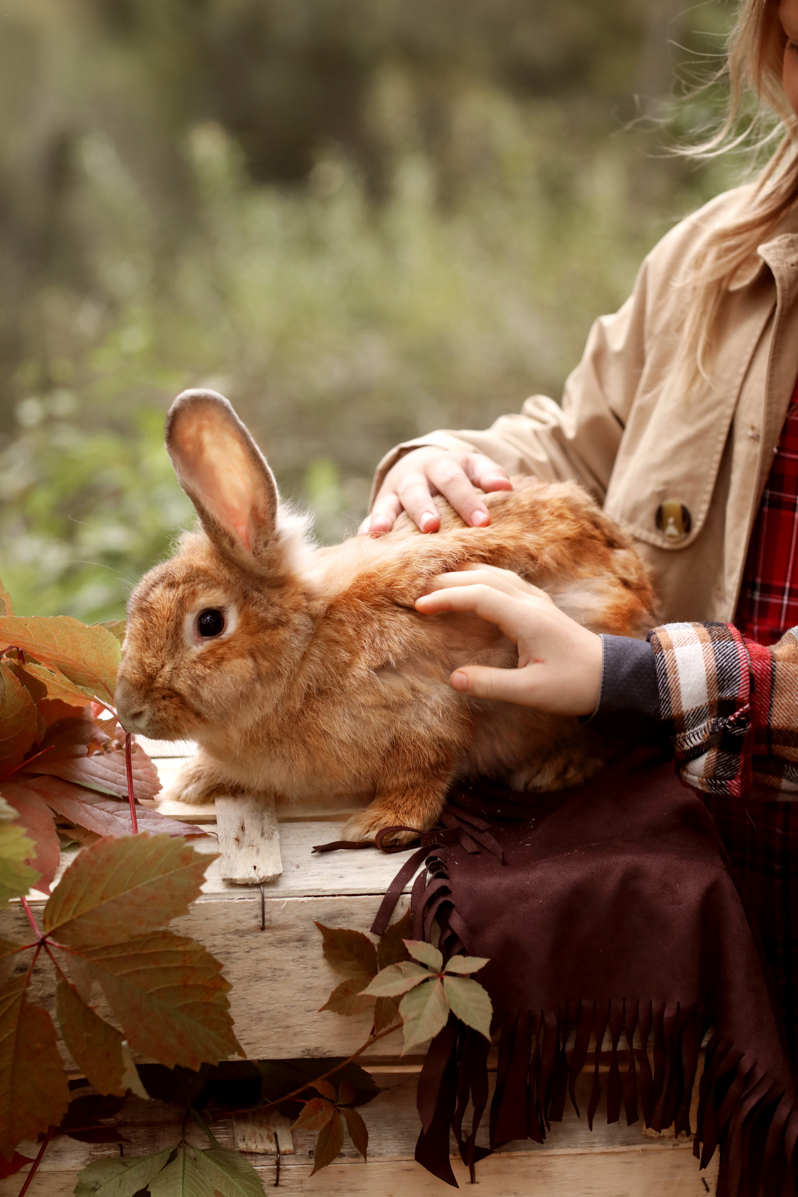 Осень. Фотограф в Ярославле Егорычева Екатерина
