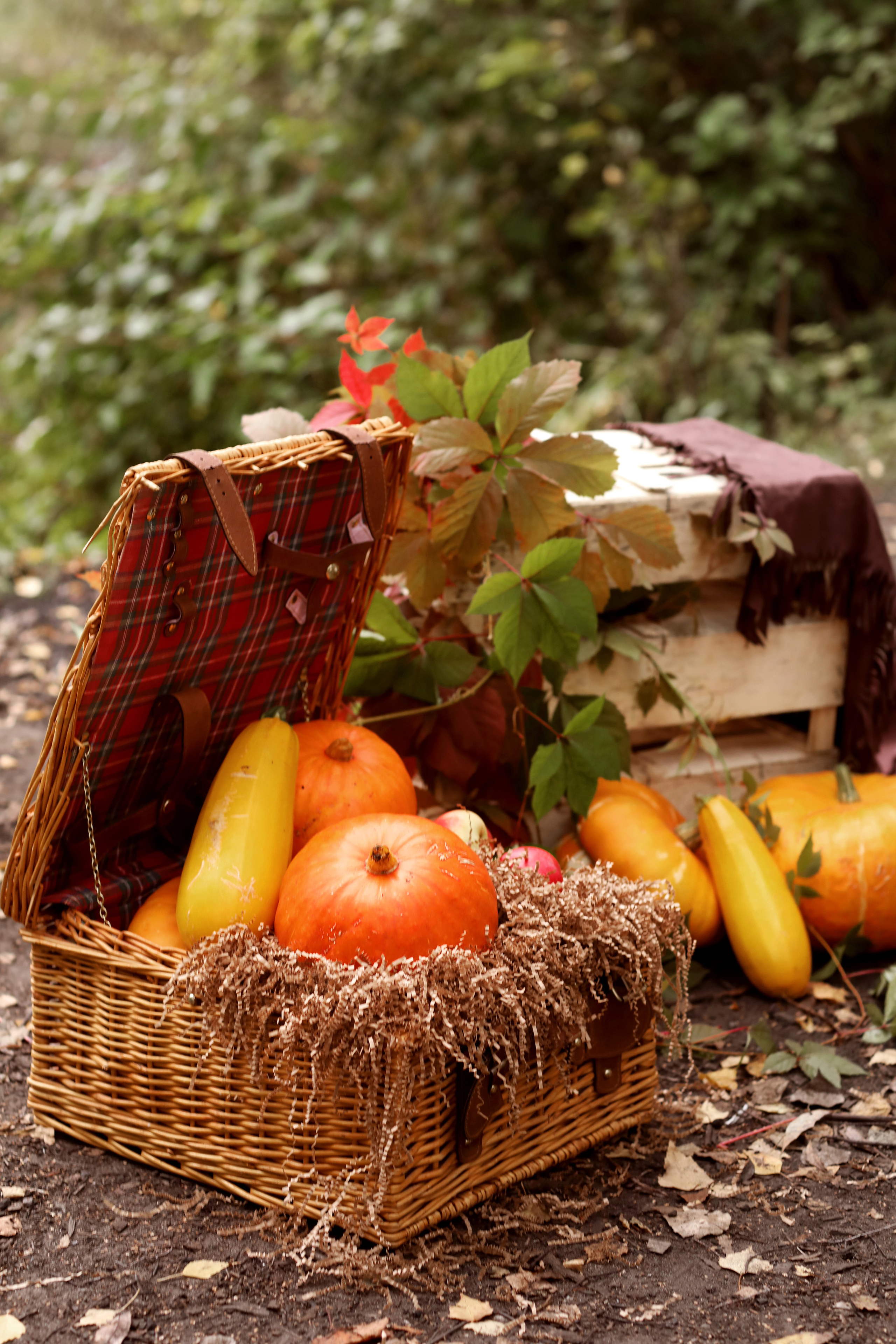 Осень. Фотограф в Ярославле Егорычева Екатерина